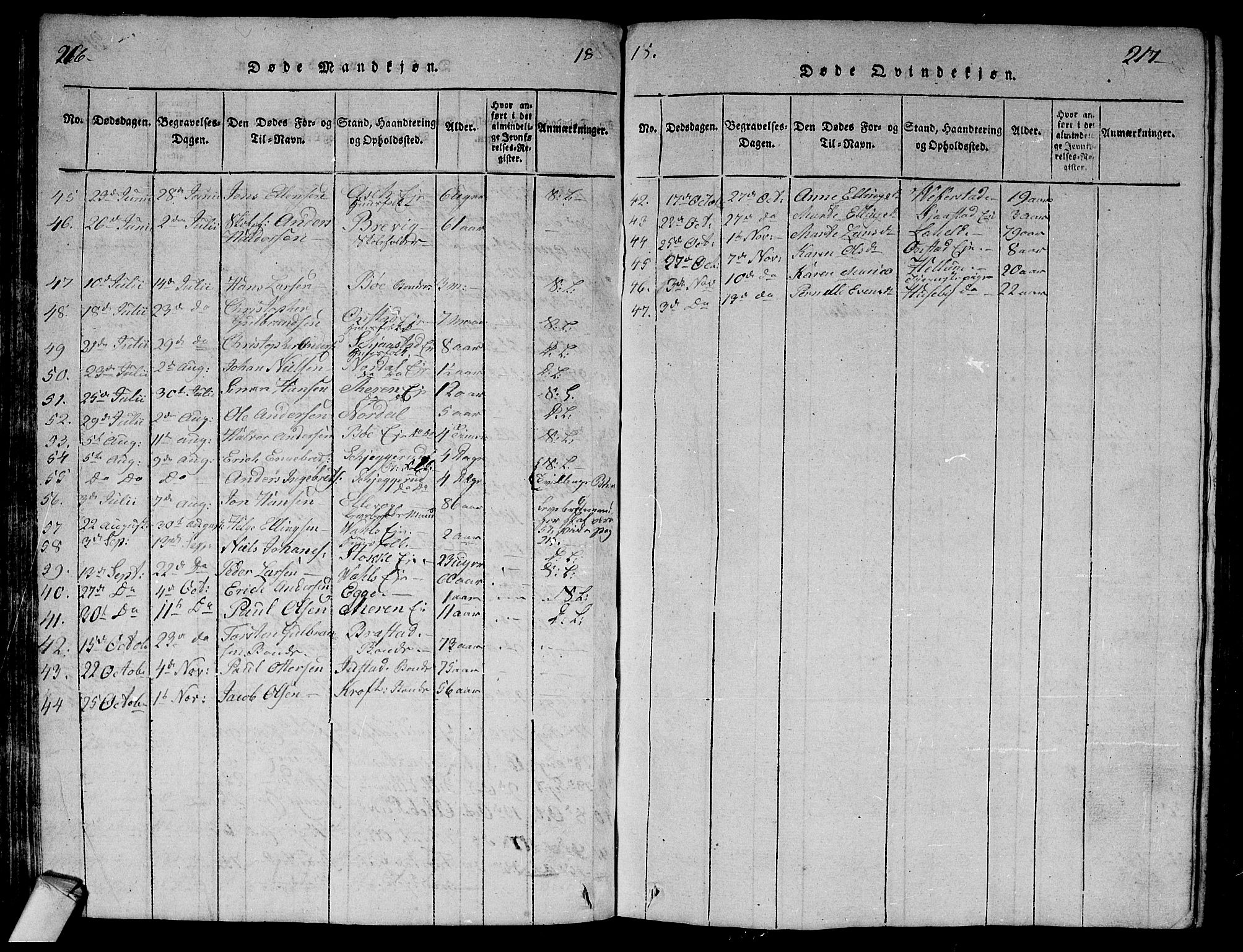 Lier kirkebøker, AV/SAKO-A-230/G/Ga/L0001: Parish register (copy) no. I 1, 1813-1824, p. 216-217