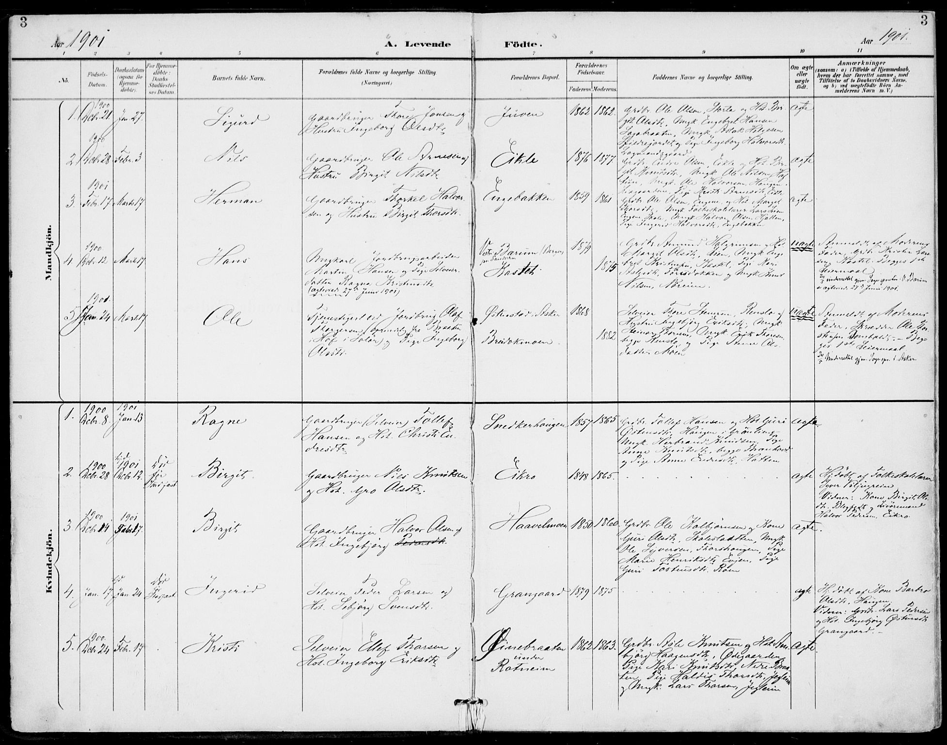 Gol kirkebøker, SAKO/A-226/F/Fa/L0006: Parish register (official) no. I 6, 1901-1918, p. 3