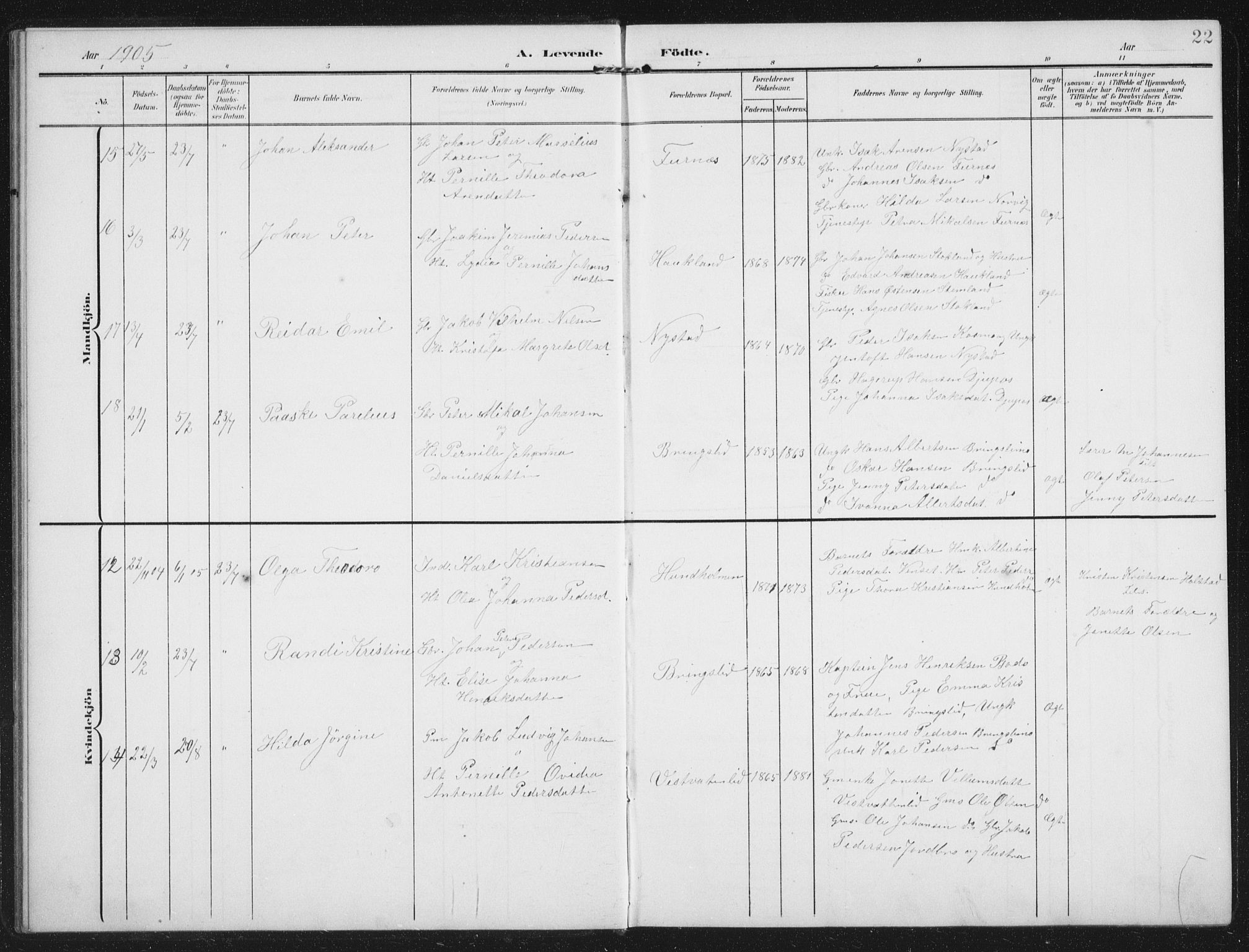 Ministerialprotokoller, klokkerbøker og fødselsregistre - Nordland, AV/SAT-A-1459/851/L0726: Parish register (copy) no. 851C01, 1902-1924, p. 22