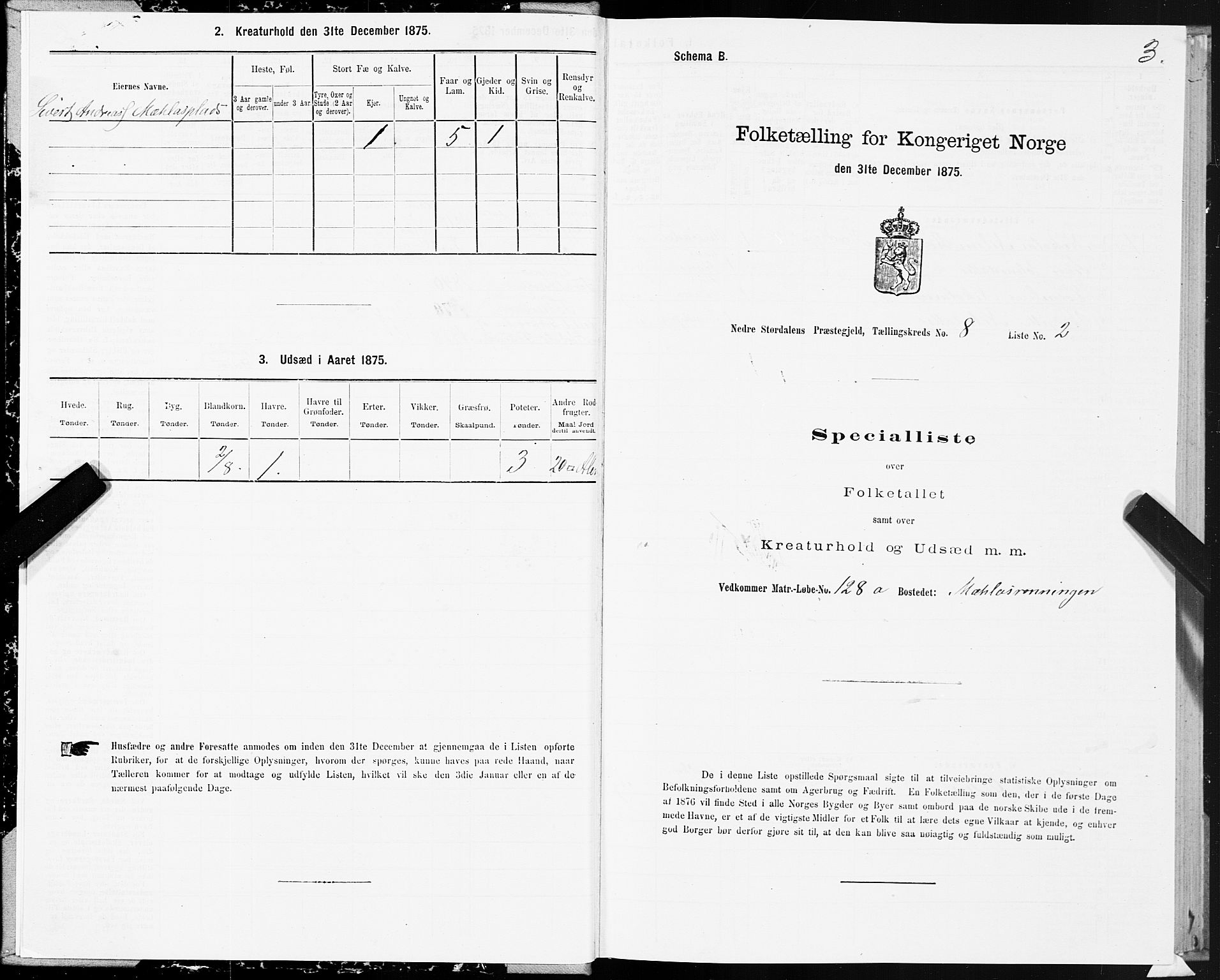 SAT, 1875 census for 1714P Nedre Stjørdal, 1875, p. 4003