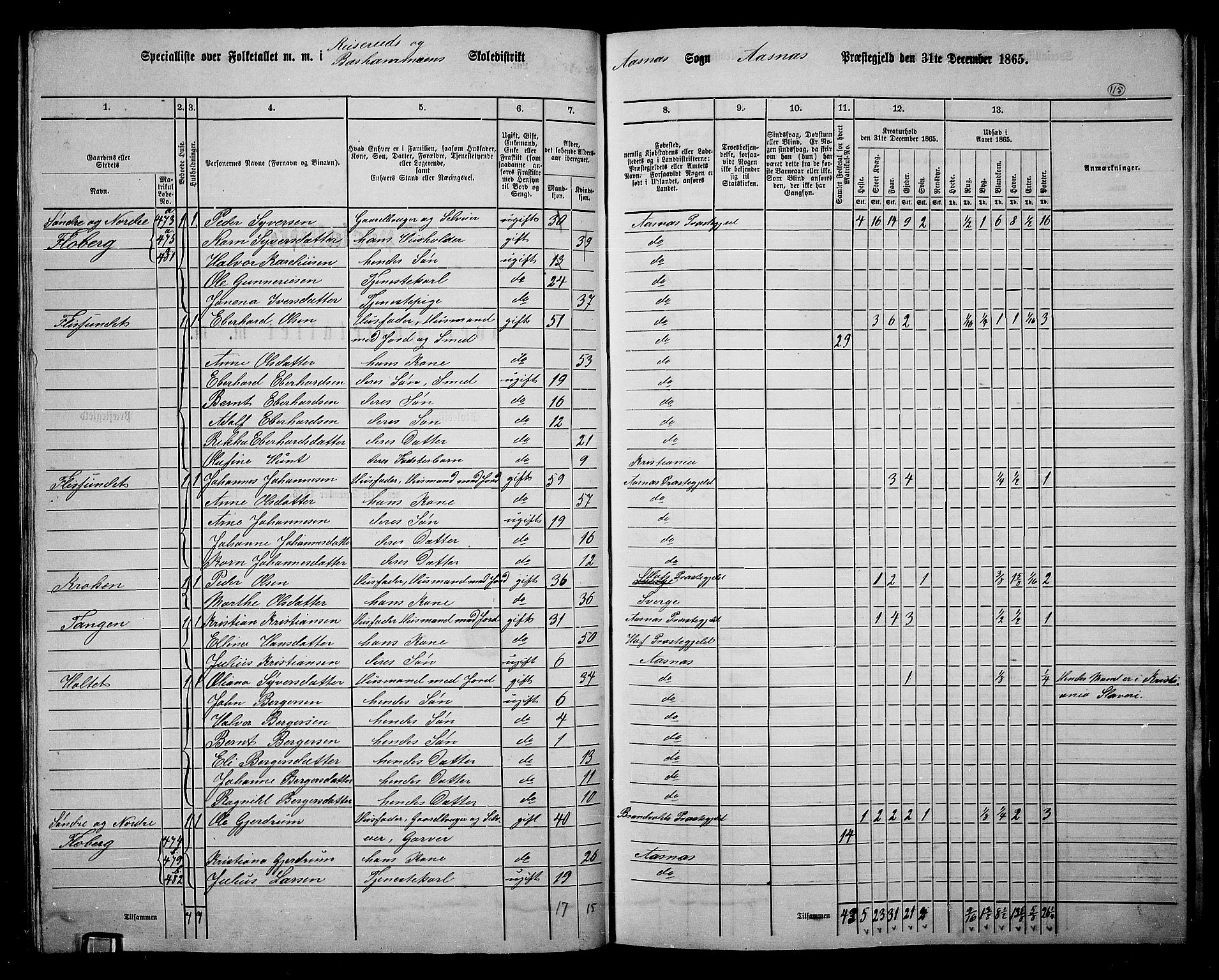 RA, 1865 census for Åsnes, 1865, p. 106