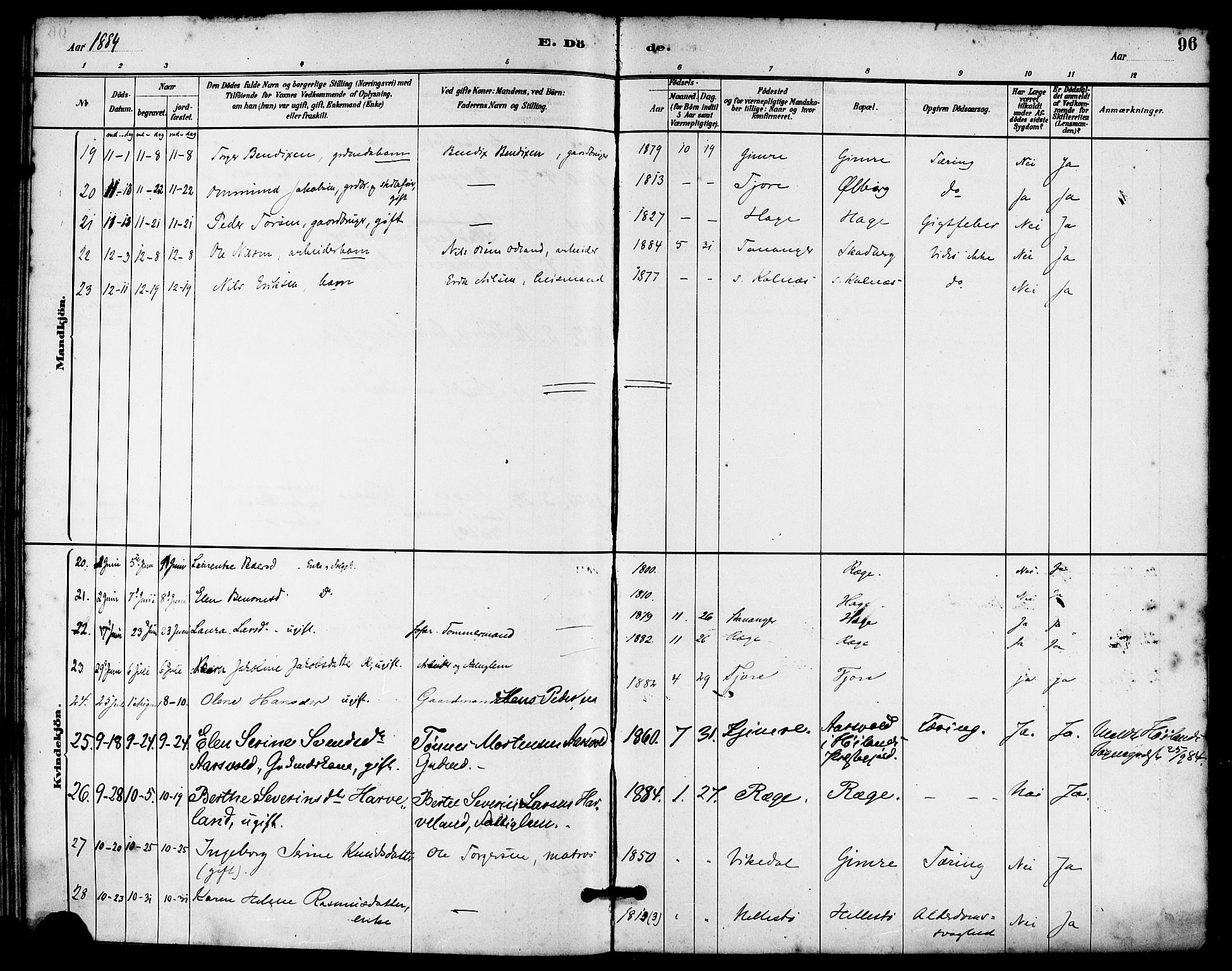 Håland sokneprestkontor, AV/SAST-A-101802/001/30BA/L0010: Parish register (official) no. A 9, 1883-1888, p. 96