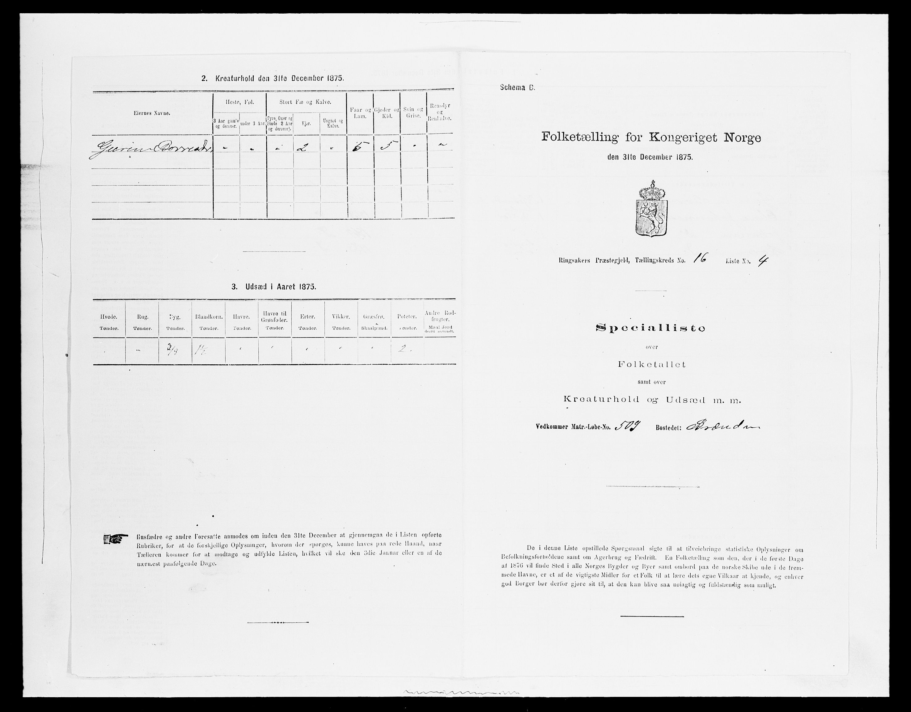 SAH, 1875 census for 0412P Ringsaker, 1875, p. 3246