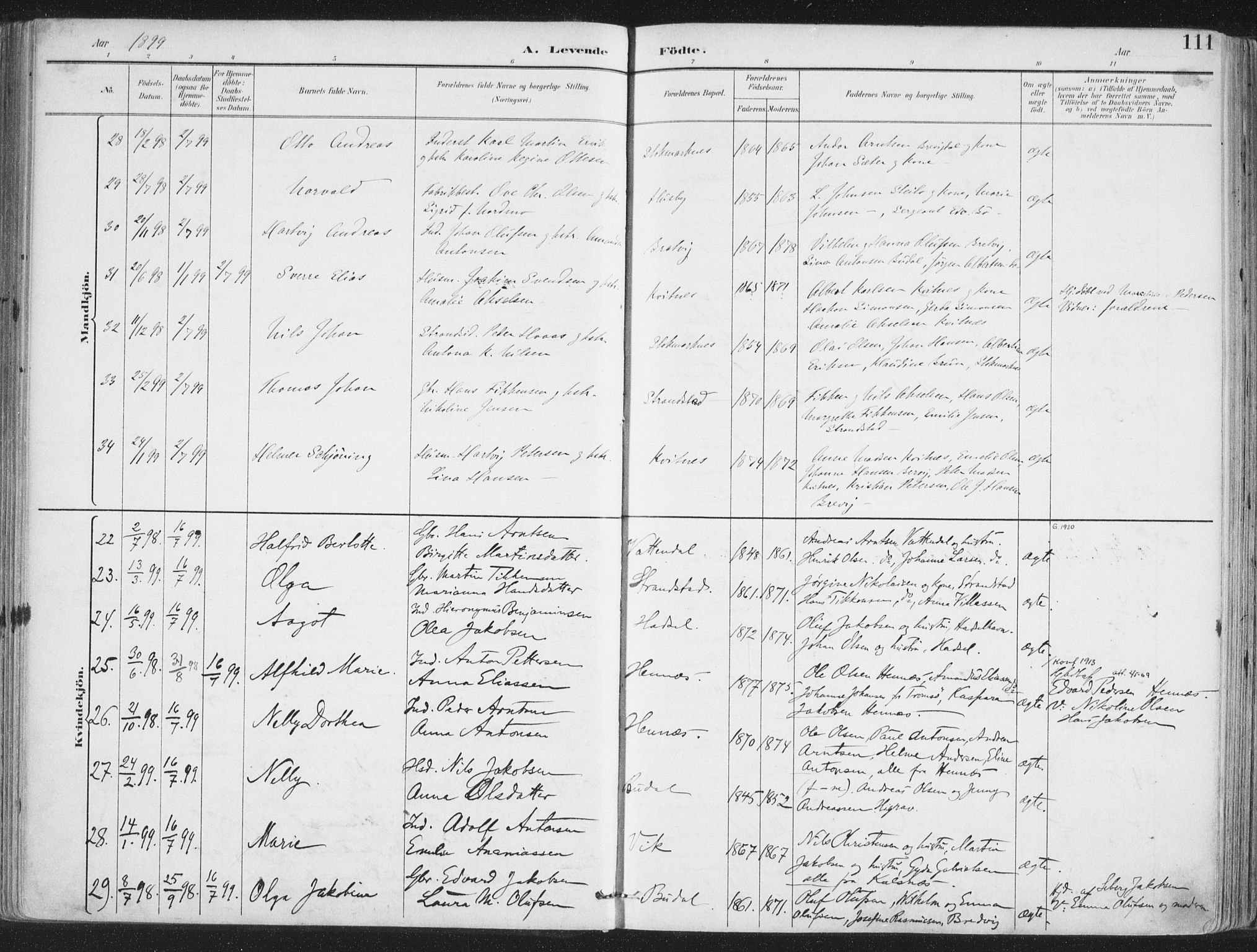 Ministerialprotokoller, klokkerbøker og fødselsregistre - Nordland, AV/SAT-A-1459/888/L1246: Parish register (official) no. 888A12, 1891-1903, p. 111