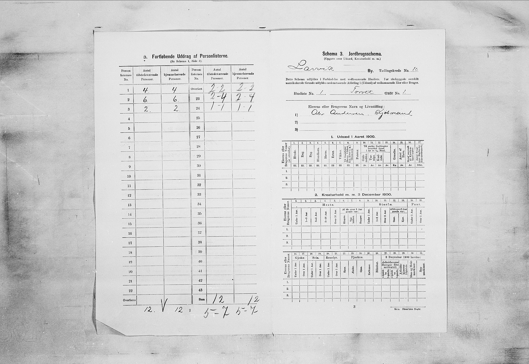 RA, 1900 census for Larvik, 1900, p. 899