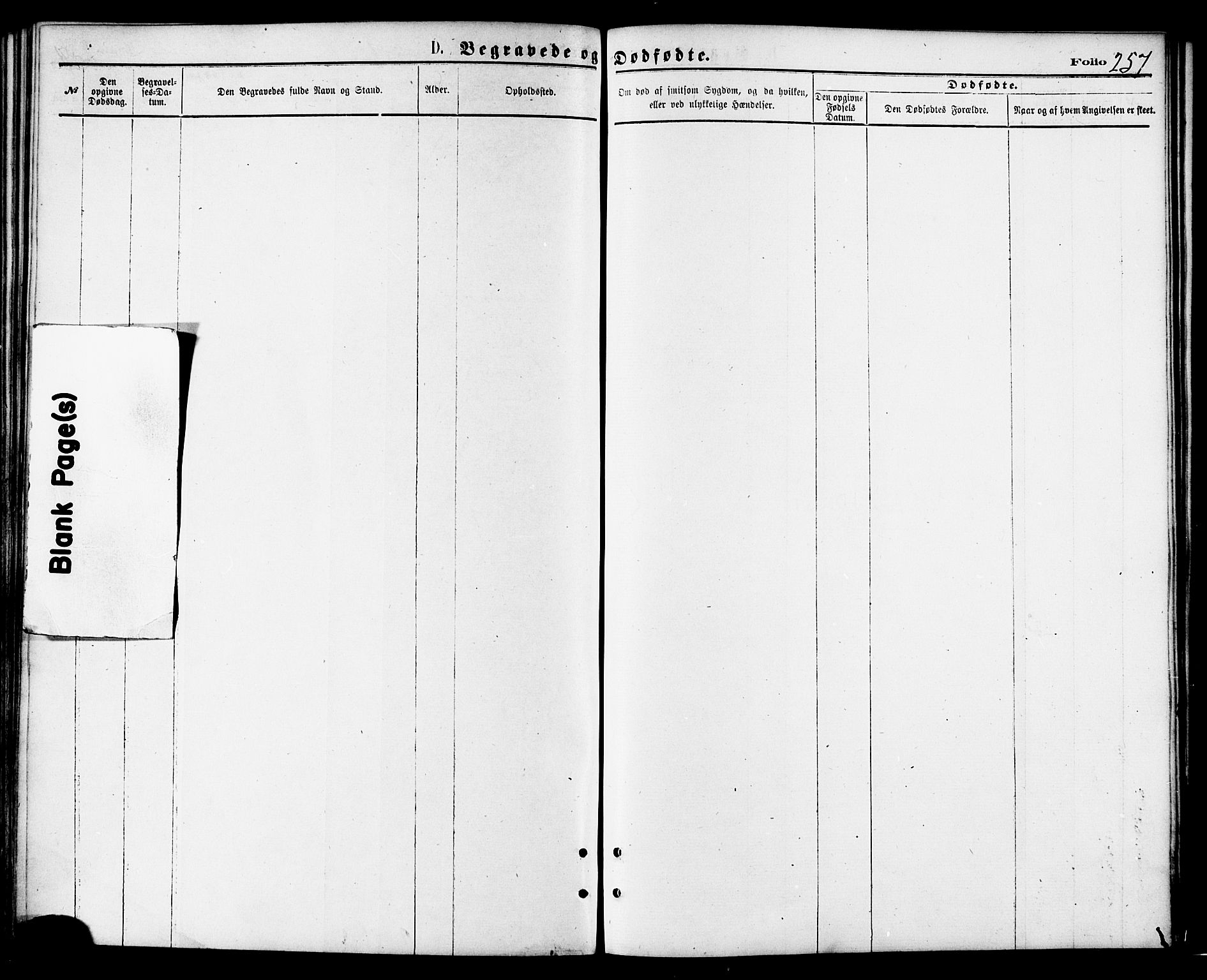 Ministerialprotokoller, klokkerbøker og fødselsregistre - Nordland, AV/SAT-A-1459/810/L0148: Parish register (official) no. 810A09 /1, 1874-1884, p. 257