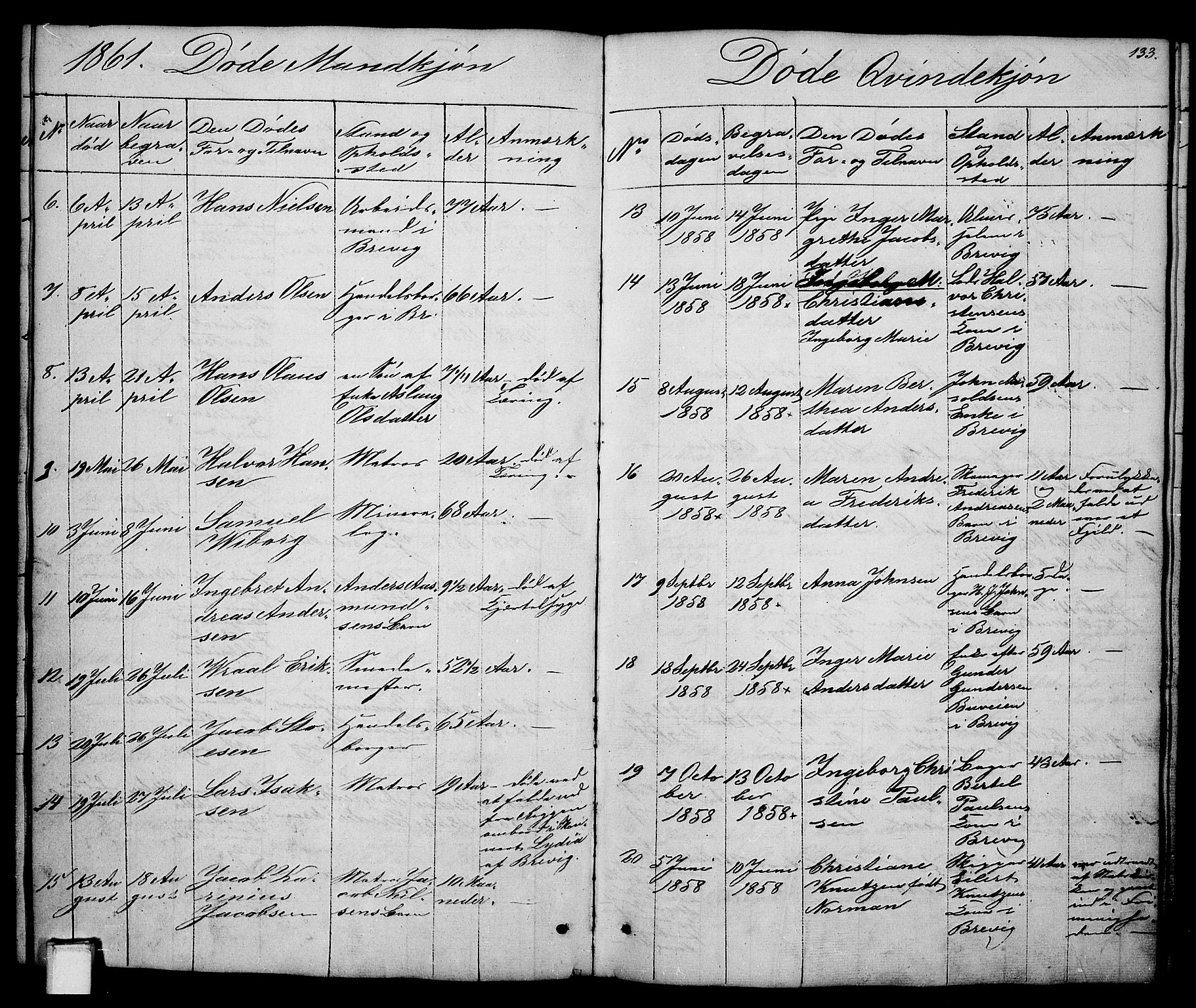 Brevik kirkebøker, SAKO/A-255/G/Ga/L0002: Parish register (copy) no. 2, 1846-1865, p. 133
