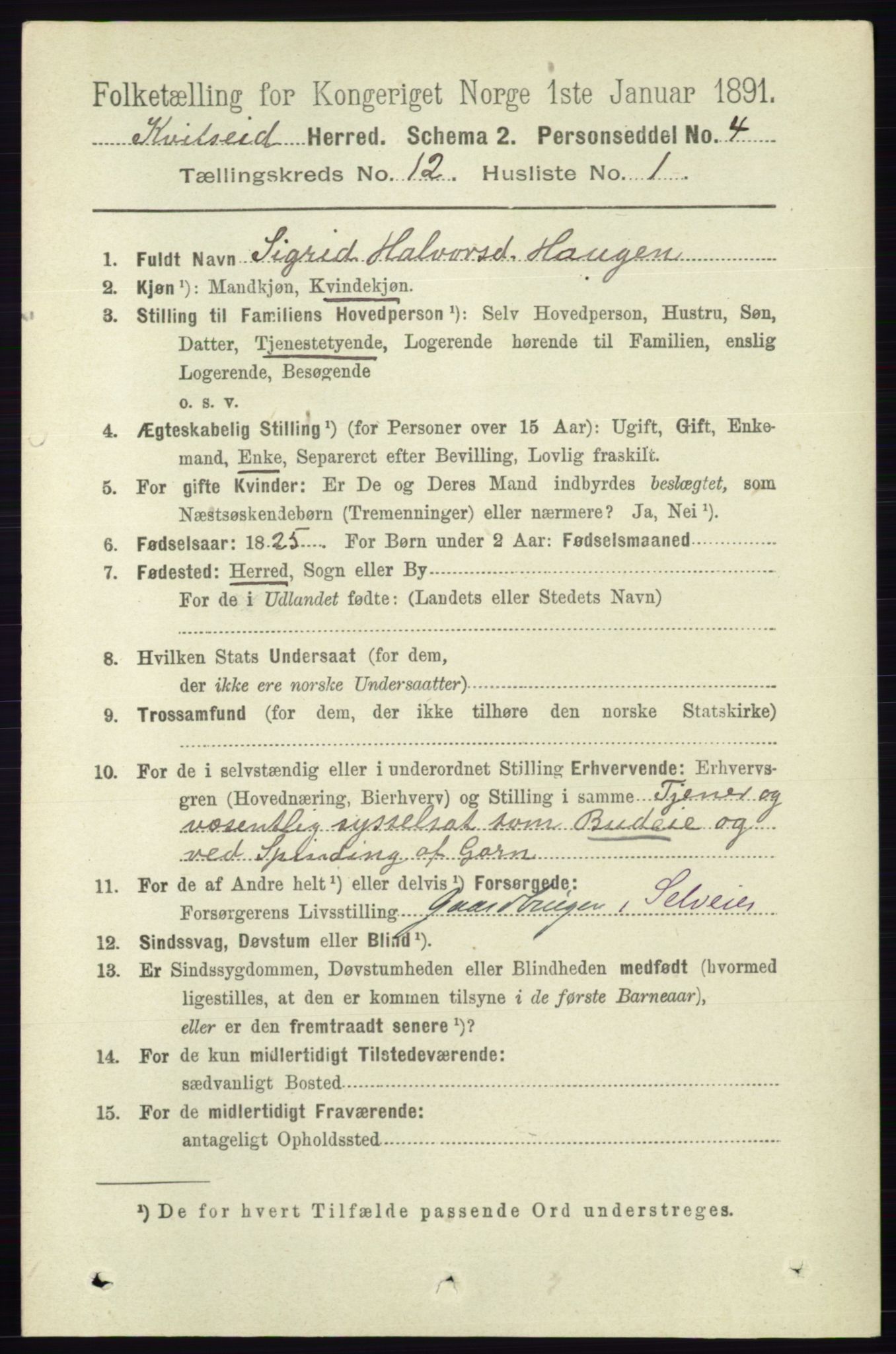 RA, 1891 census for 0829 Kviteseid, 1891, p. 2845