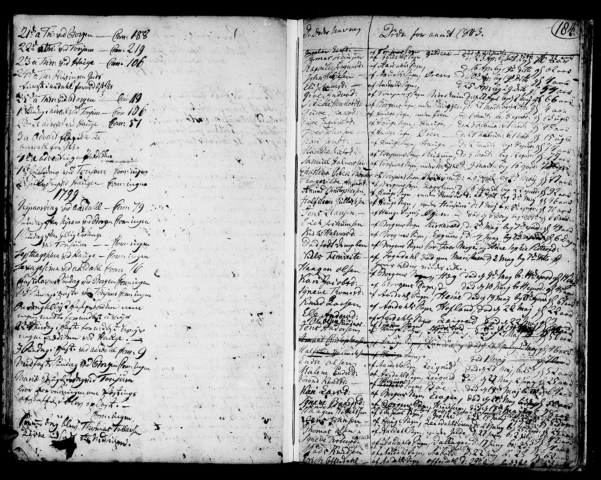 Lærdal sokneprestembete, SAB/A-81201: Parish register (official) no. A 3, 1783-1804, p. 184