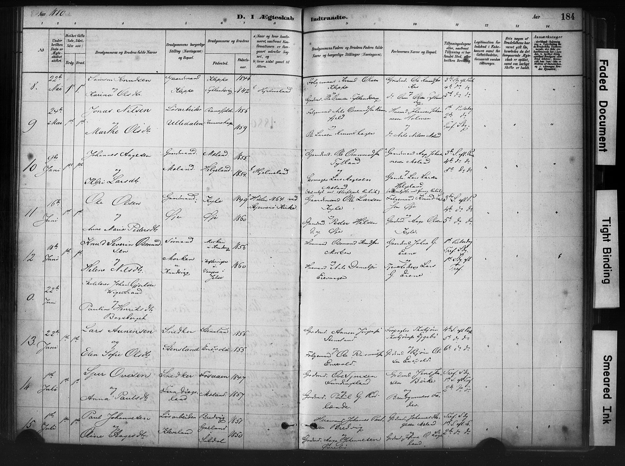 Hjelmeland sokneprestkontor, AV/SAST-A-101843/01/IV/L0014: Parish register (official) no. A 14, 1879-1900, p. 184