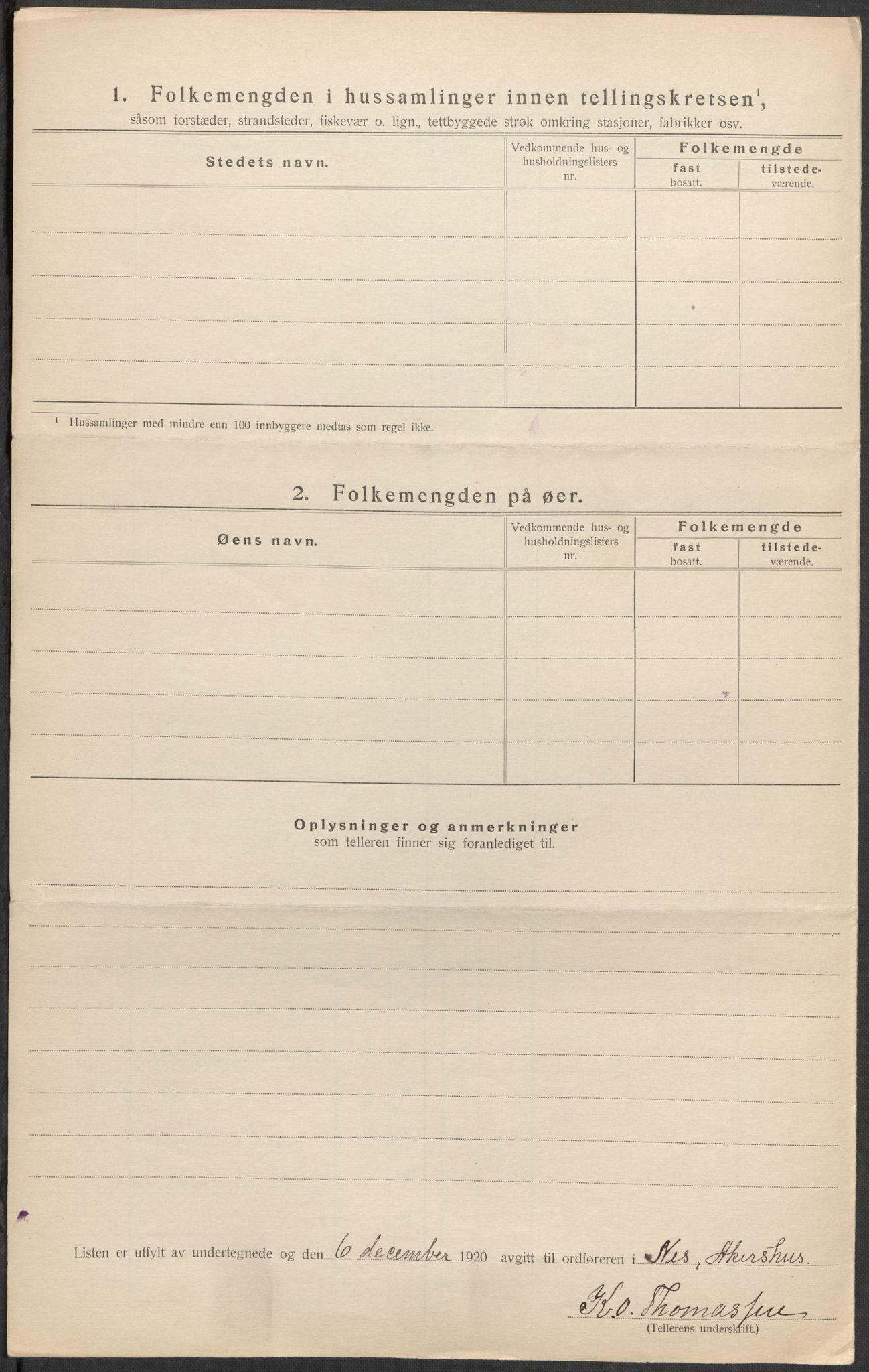 SAO, 1920 census for Nes, 1920, p. 19