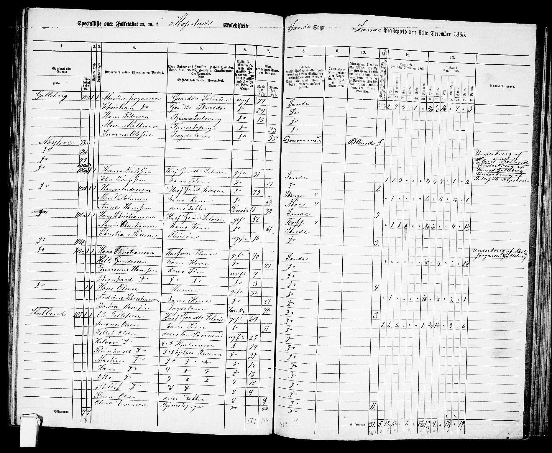 RA, 1865 census for Sande, 1865, p. 69