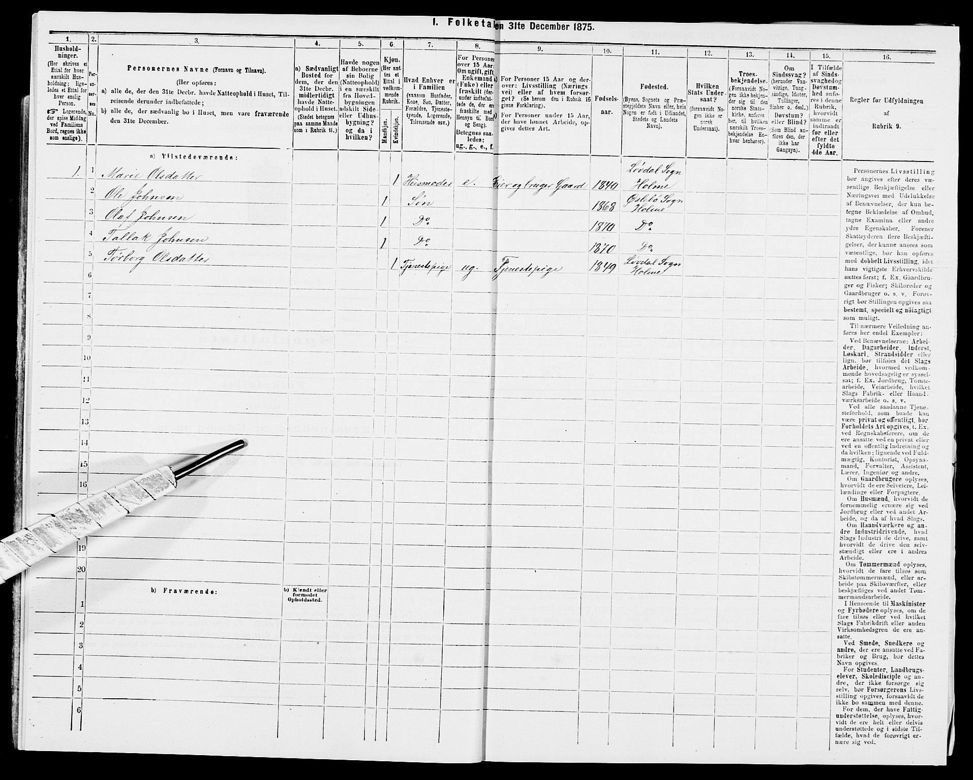 SAK, 1875 census for 1020P Holum, 1875, p. 733