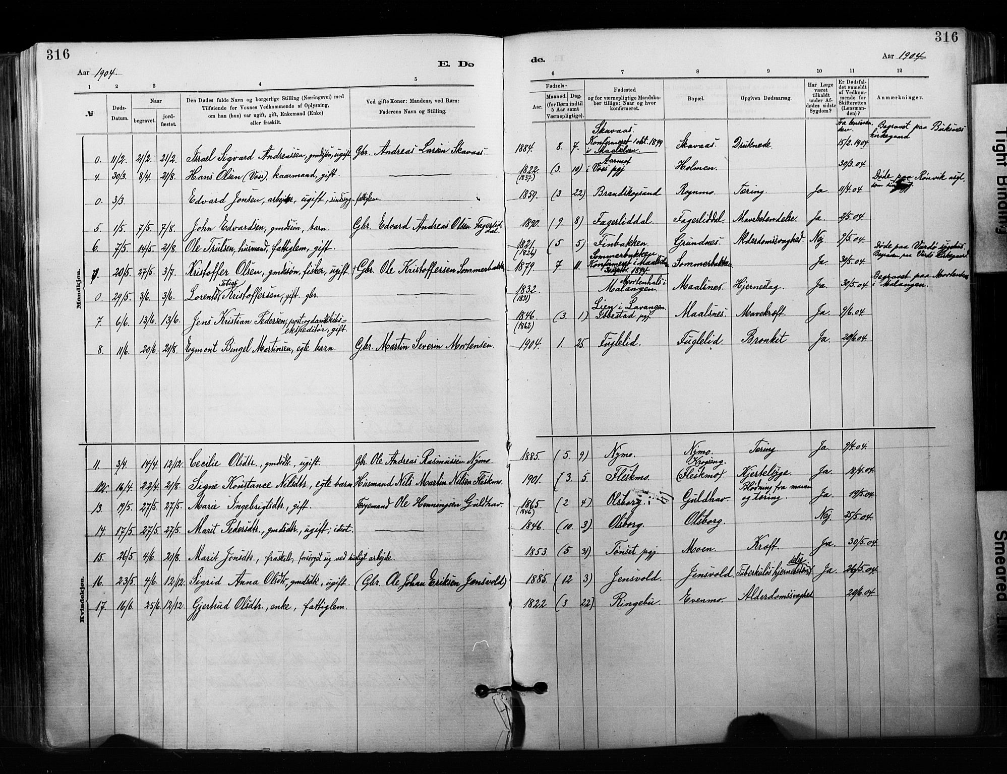 Målselv sokneprestembete, SATØ/S-1311/G/Ga/Gaa/L0007kirke: Parish register (official) no. 7, 1884-1903, p. 316