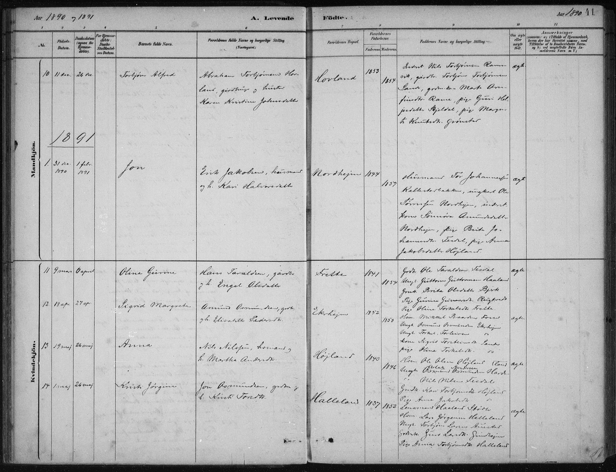Etne sokneprestembete, SAB/A-75001/H/Haa: Parish register (official) no. D  1, 1879-1919, p. 41