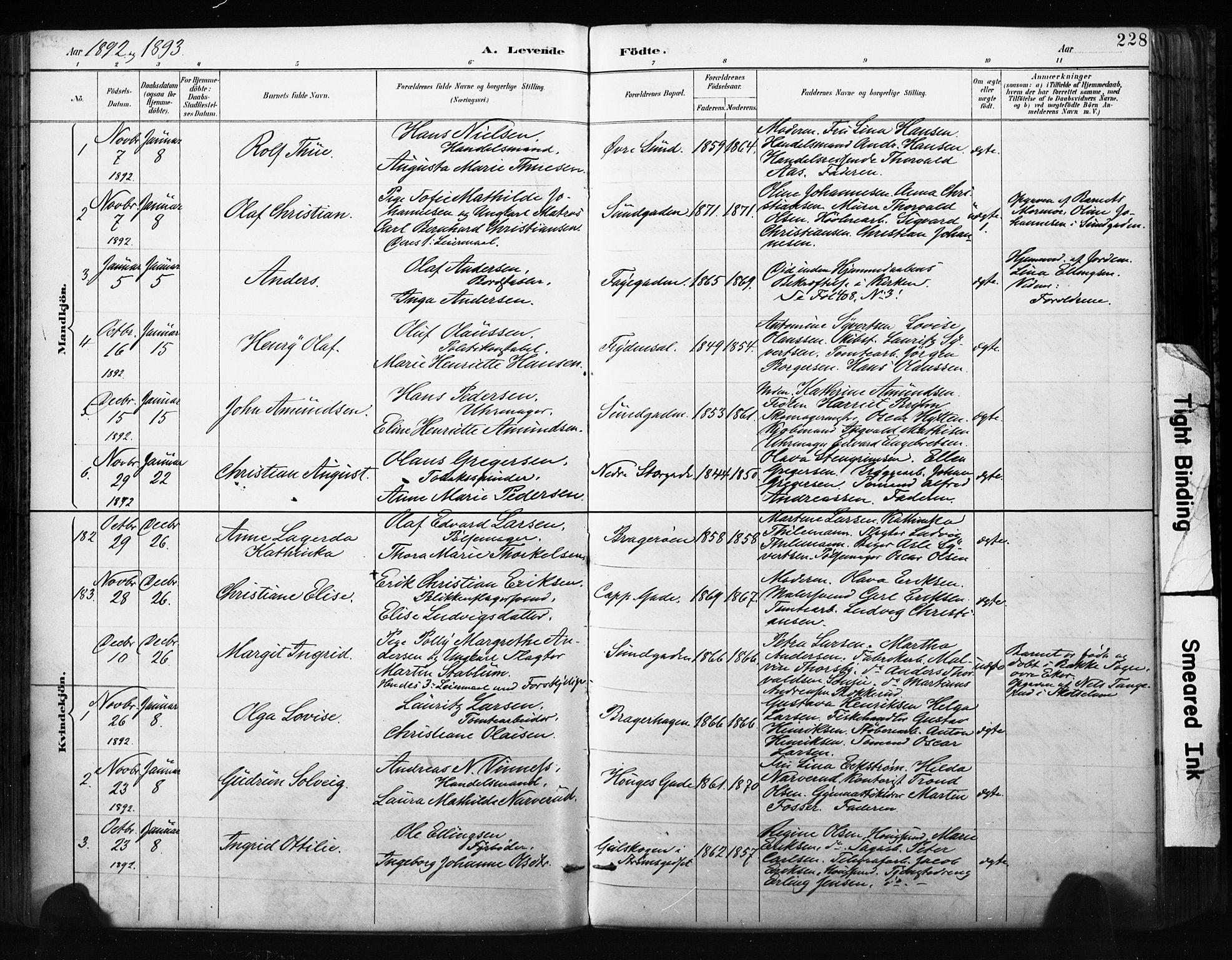 Bragernes kirkebøker, AV/SAKO-A-6/F/Fb/L0007: Parish register (official) no. II 7, 1885-1893, p. 228