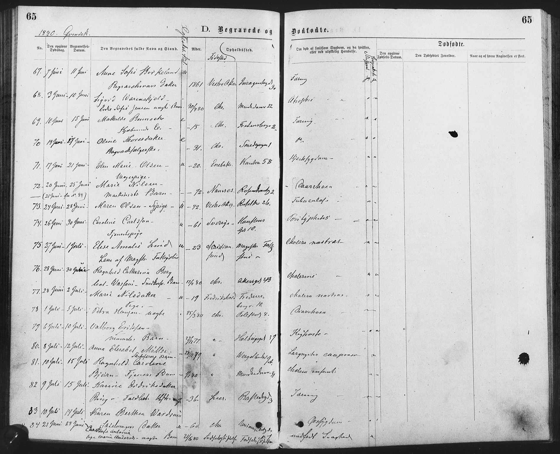 Trefoldighet prestekontor Kirkebøker, SAO/A-10882/F/Fd/L0002: Parish register (official) no. IV 2, 1877-1885, p. 65