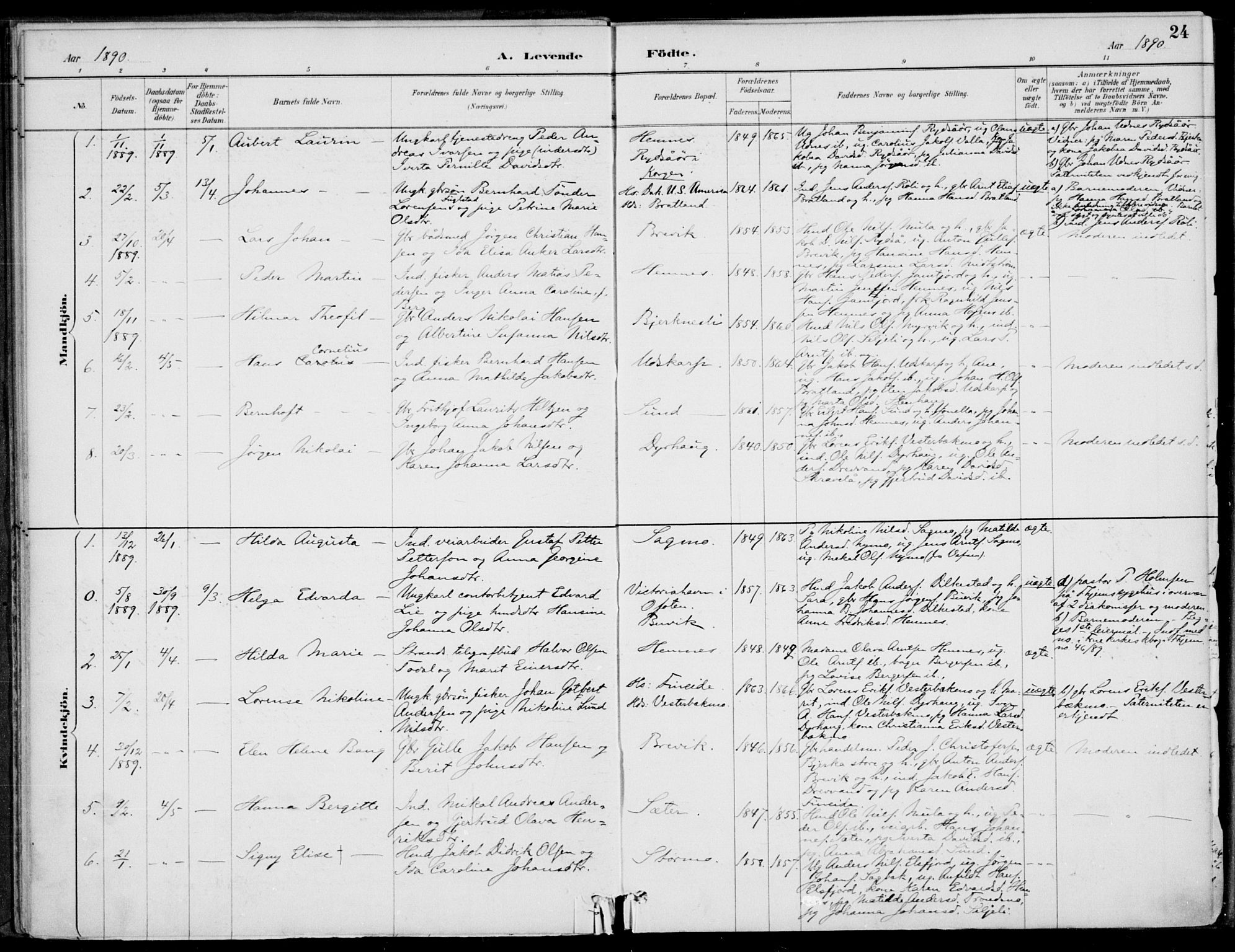 Ministerialprotokoller, klokkerbøker og fødselsregistre - Nordland, AV/SAT-A-1459/825/L0362: Parish register (official) no. 825A16, 1886-1908, p. 24