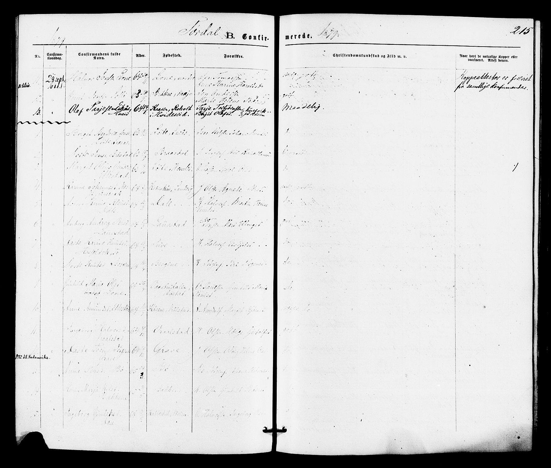 Drangedal kirkebøker, SAKO/A-258/F/Fa/L0009: Parish register (official) no. 9 /2, 1872-1884, p. 215