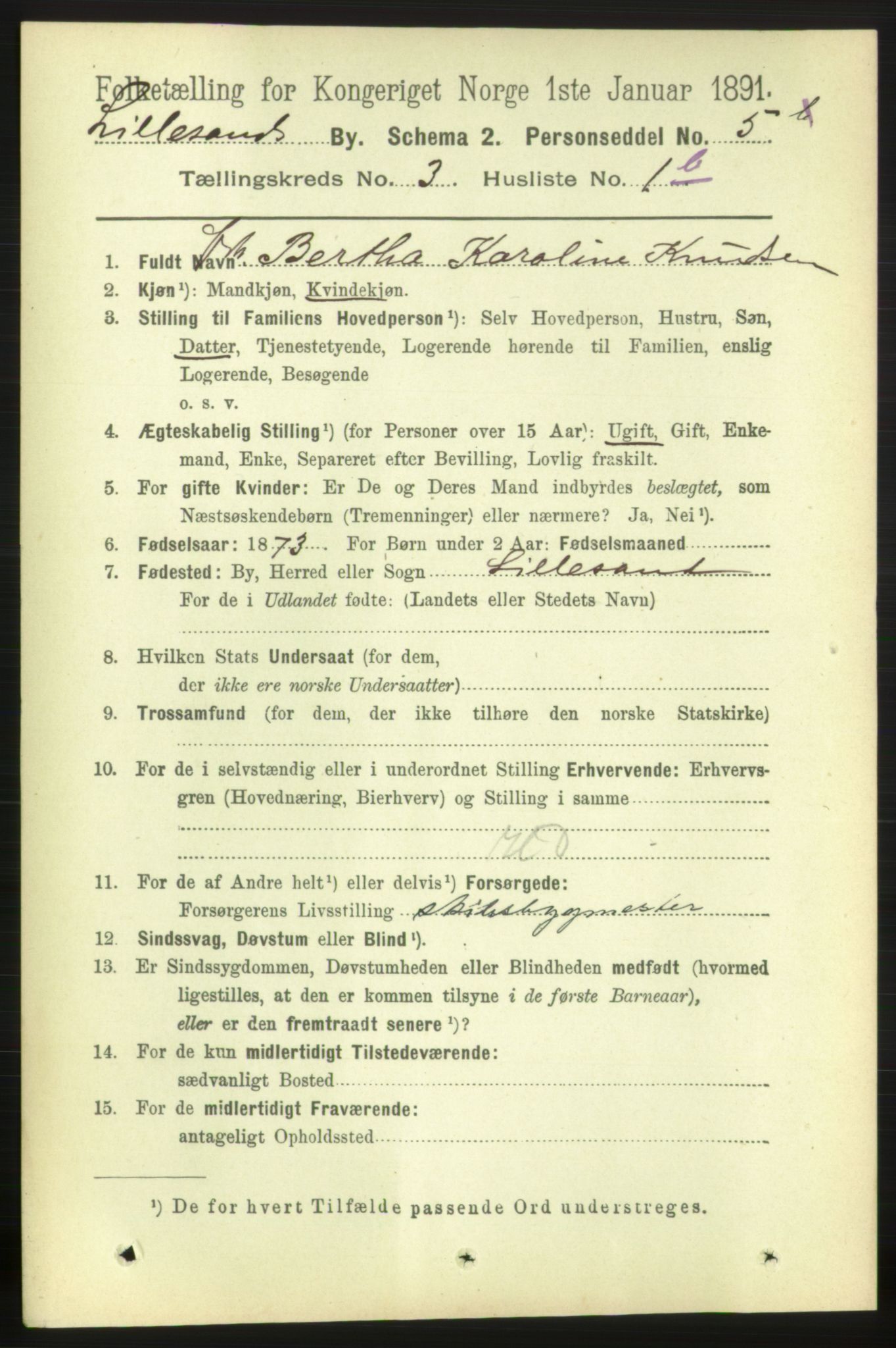 RA, 1891 census for 0905 Lillesand, 1891, p. 646