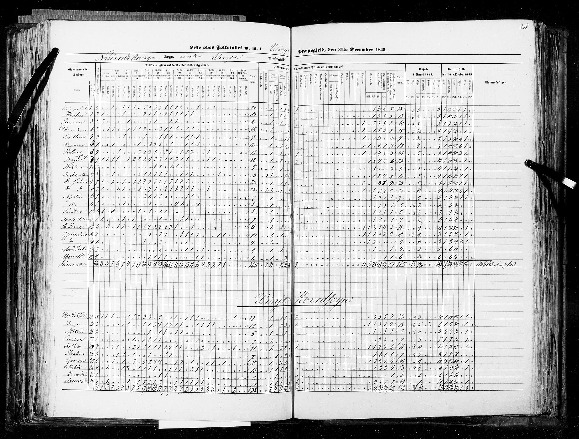 RA, Census 1845, vol. 5: Bratsberg amt og Nedenes og Råbyggelaget amt, 1845, p. 208