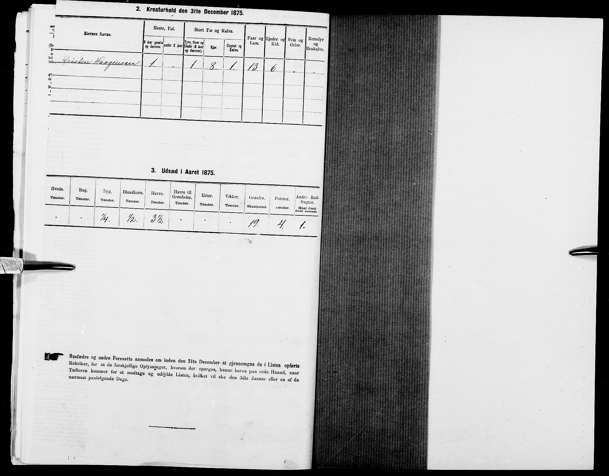 SAK, 1875 census for 1024P Bjelland, 1875, p. 980