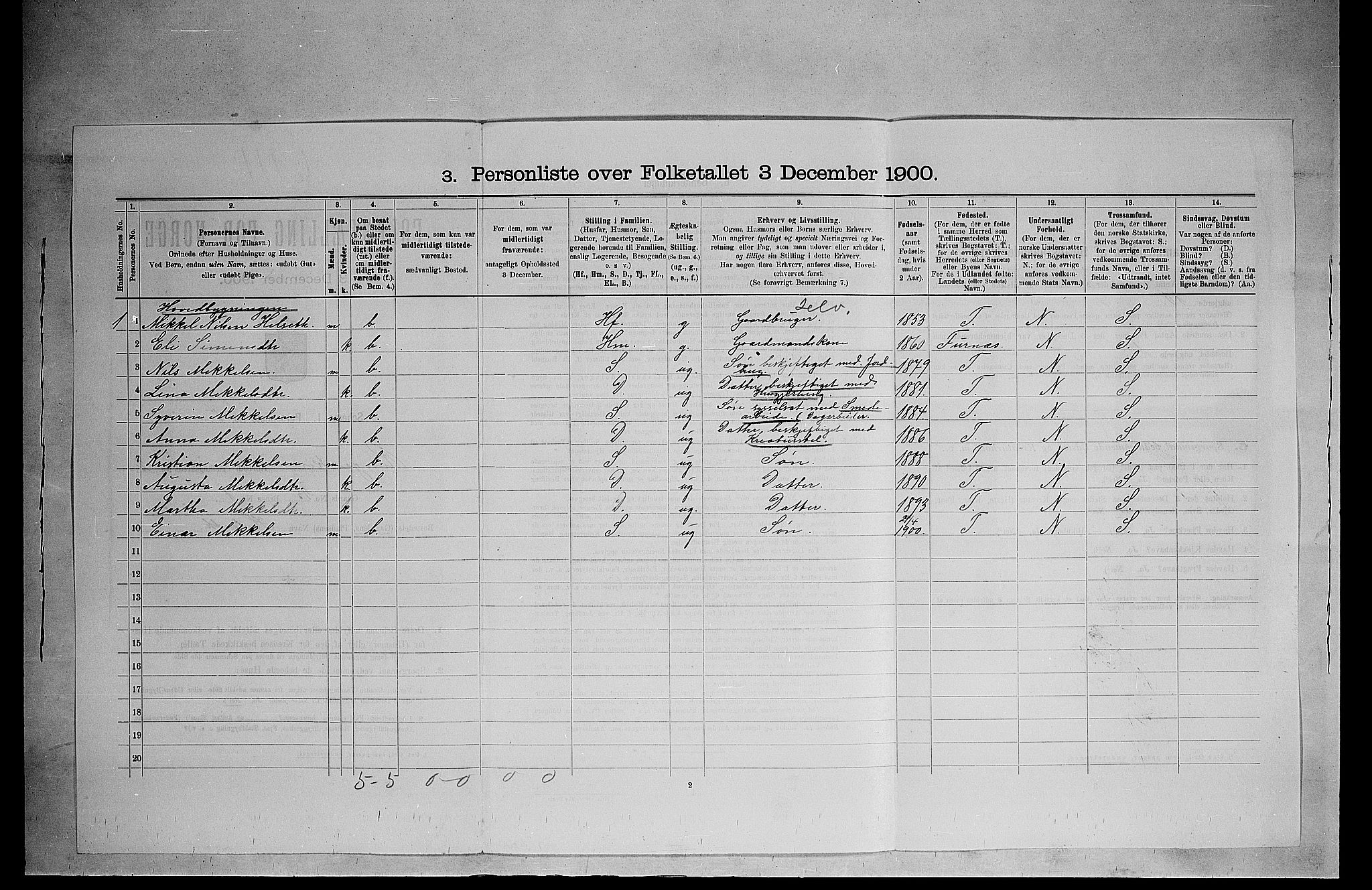 SAH, 1900 census for Ringsaker, 1900, p. 563