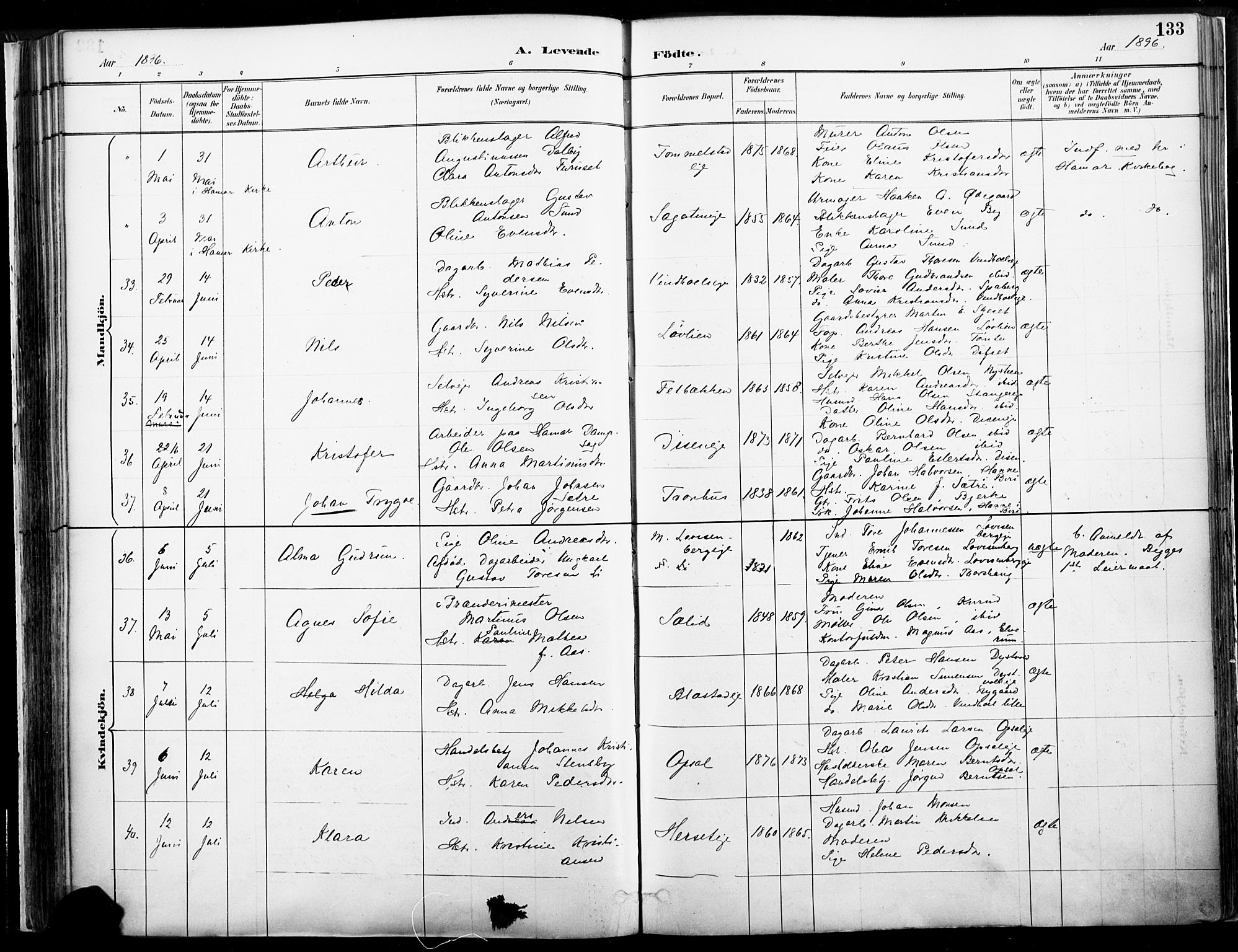 Vang prestekontor, Hedmark, AV/SAH-PREST-008/H/Ha/Haa/L0019A: Parish register (official) no. 19, 1886-1900, p. 133