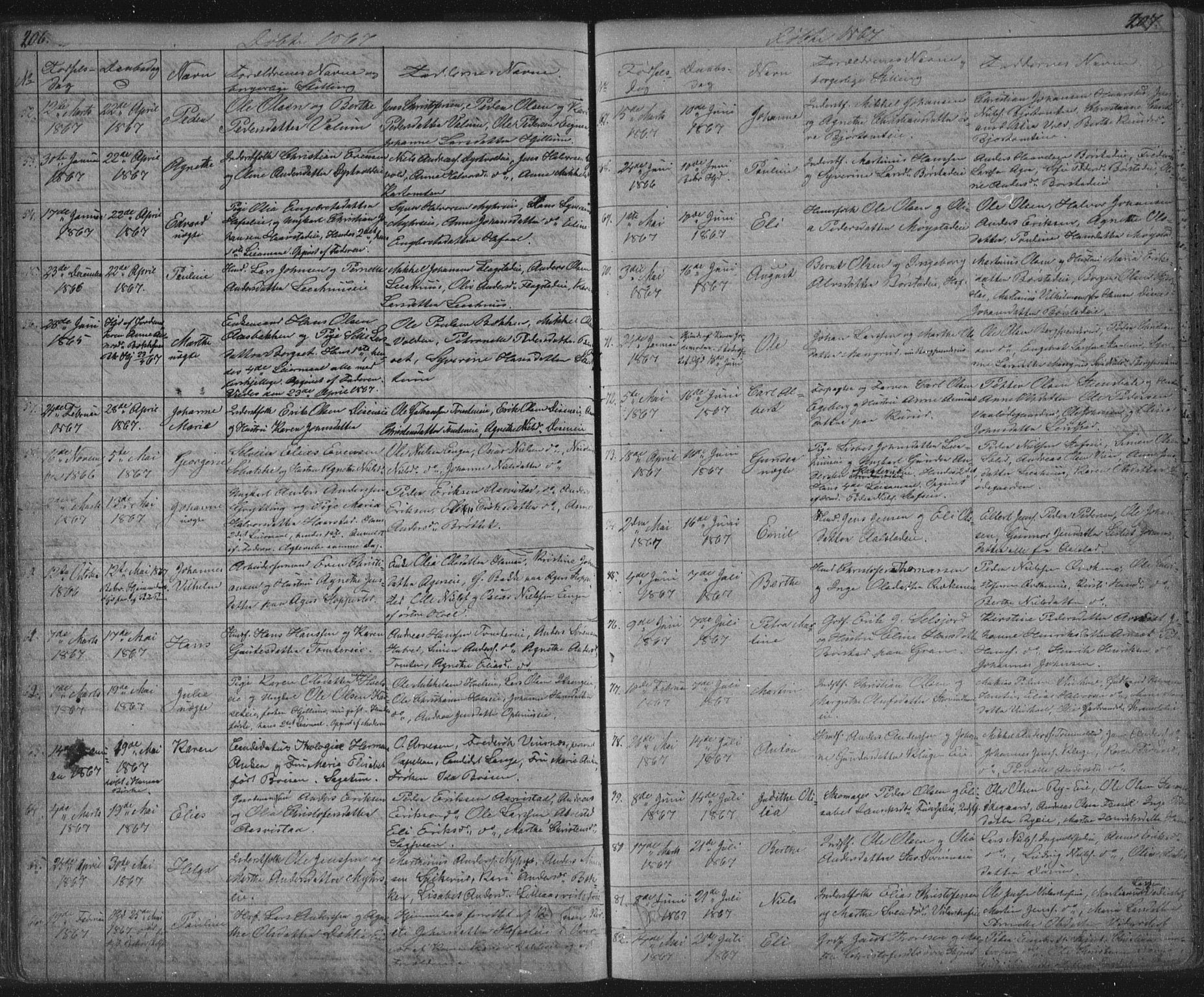 Vang prestekontor, Hedmark, AV/SAH-PREST-008/H/Ha/Hab/L0010A: Parish register (copy) no. 10a, 1854-1896, p. 206-207