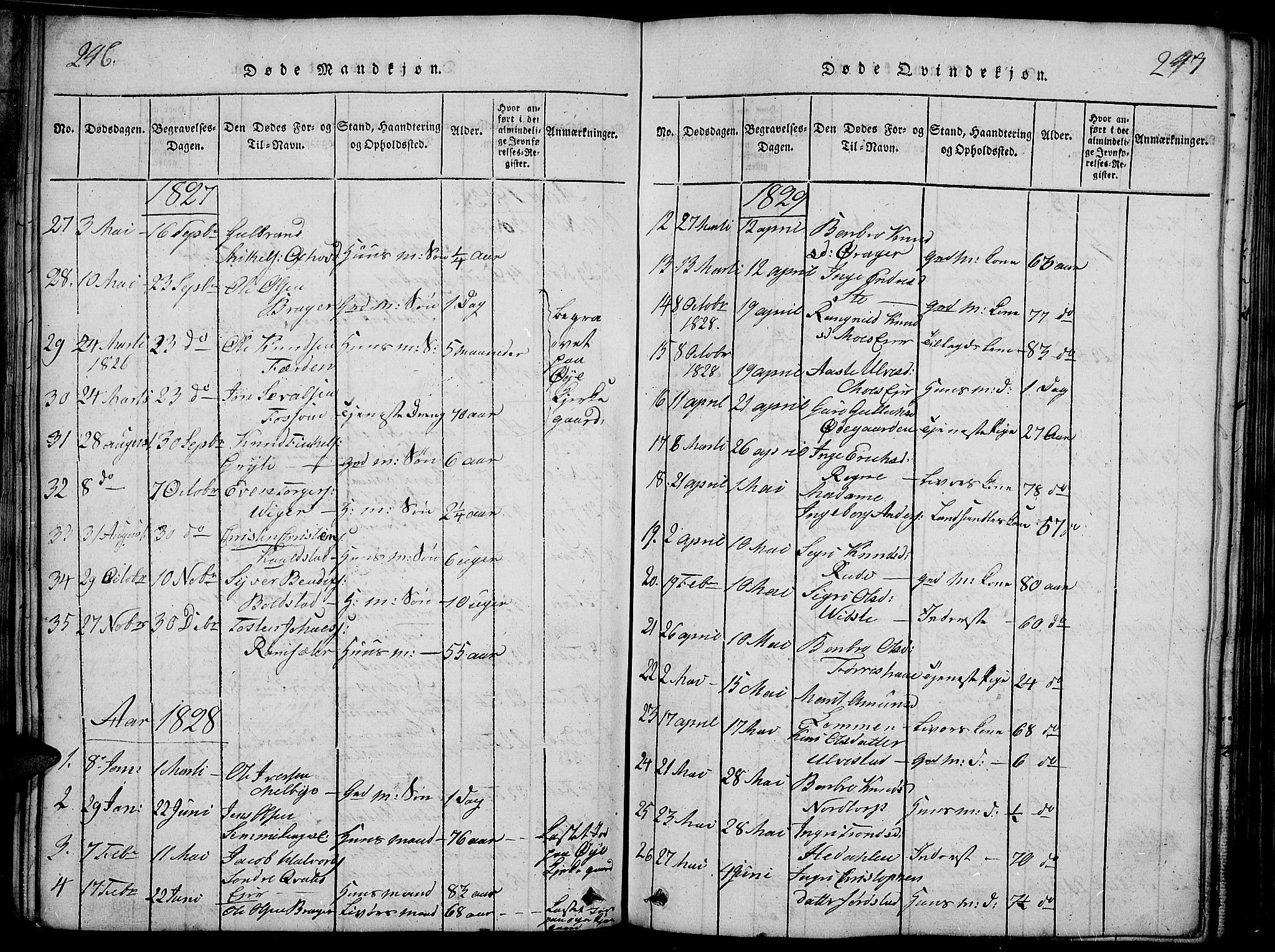 Slidre prestekontor, SAH/PREST-134/H/Ha/Haa/L0002: Parish register (official) no. 2, 1814-1830, p. 246-247