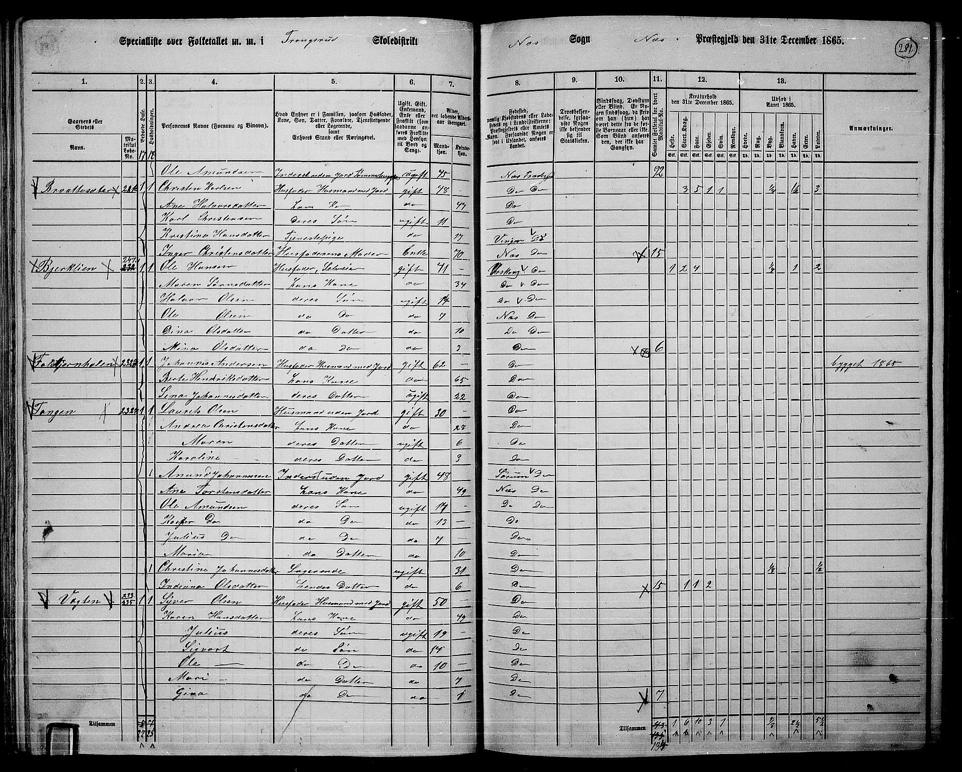 RA, 1865 census for Nes, 1865, p. 261