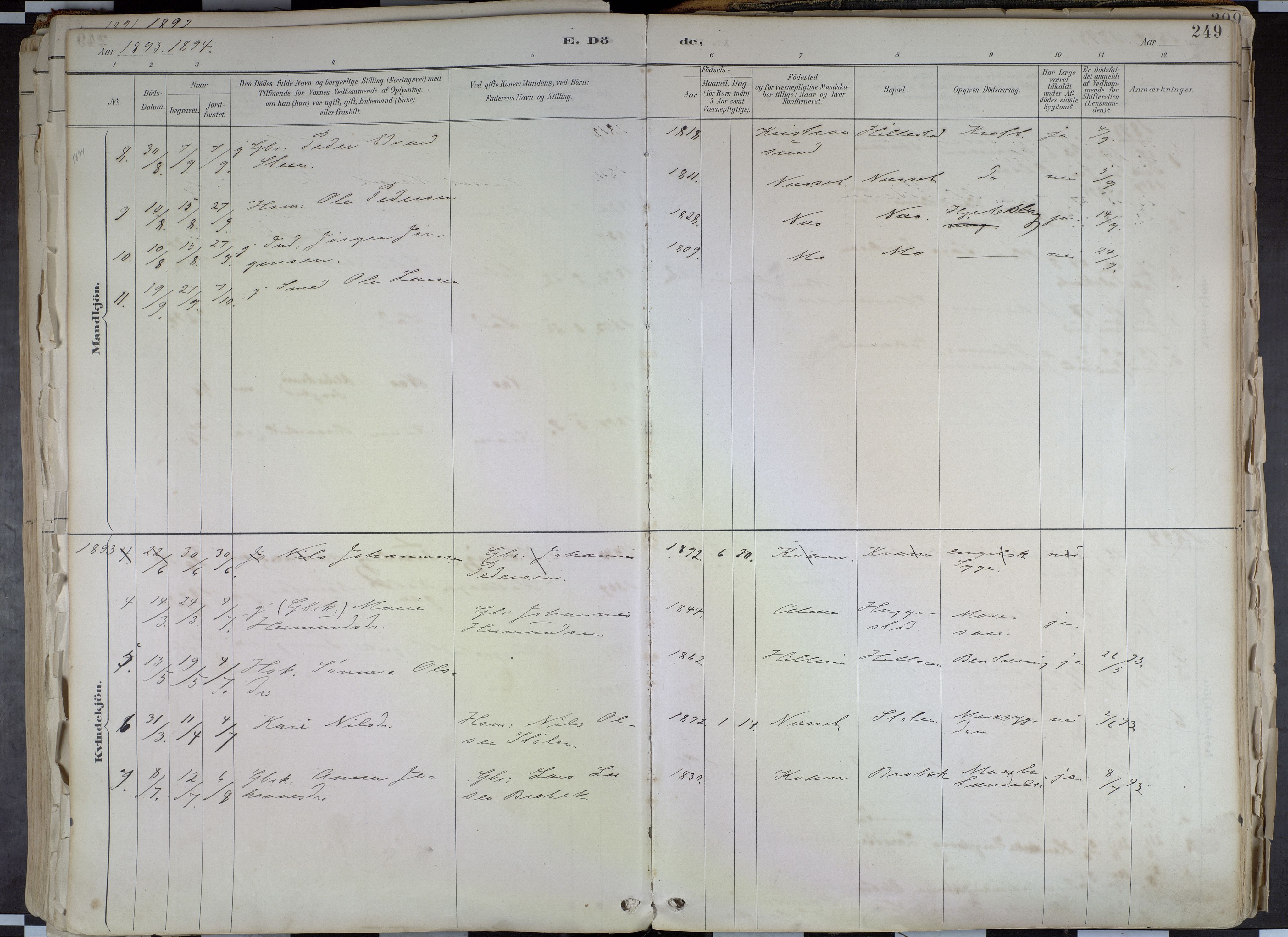 Hafslo sokneprestembete, AV/SAB-A-80301/H/Haa/Haab/L0001: Parish register (official) no. B 1, 1886-1945, p. 249