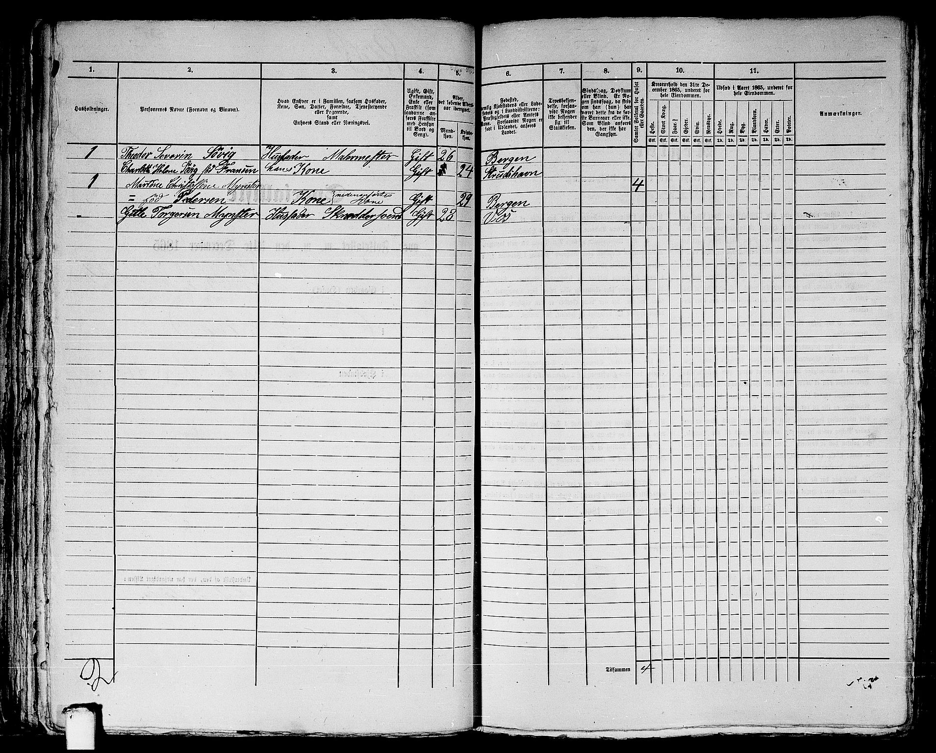 RA, 1865 census for Bergen, 1865, p. 3706