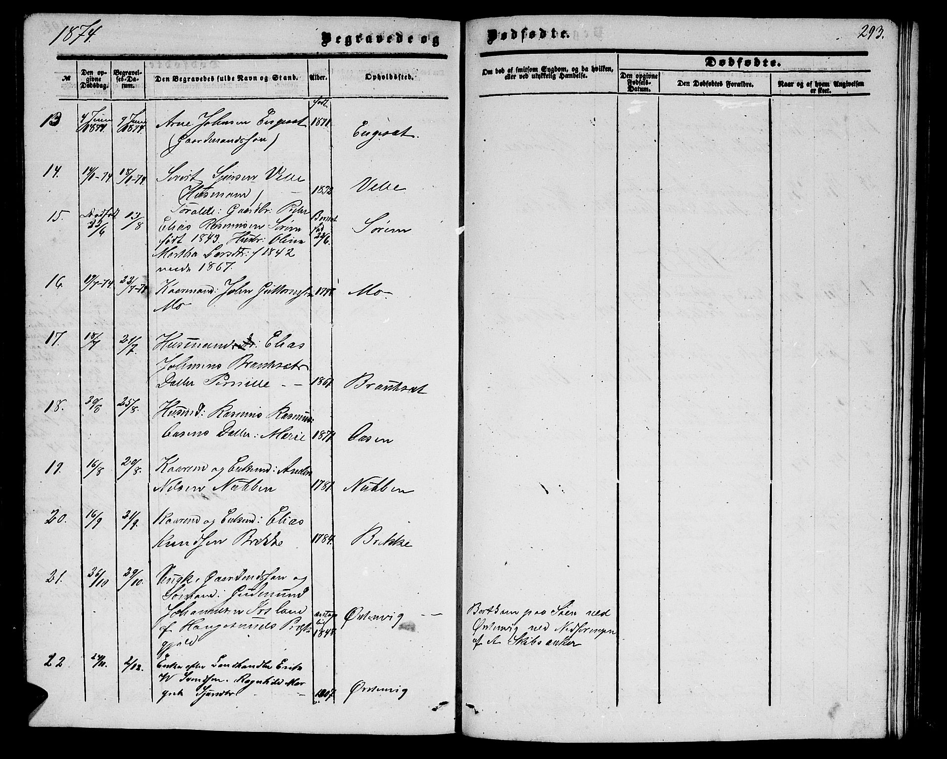 Ministerialprotokoller, klokkerbøker og fødselsregistre - Møre og Romsdal, AV/SAT-A-1454/513/L0188: Parish register (copy) no. 513C02, 1865-1882, p. 293