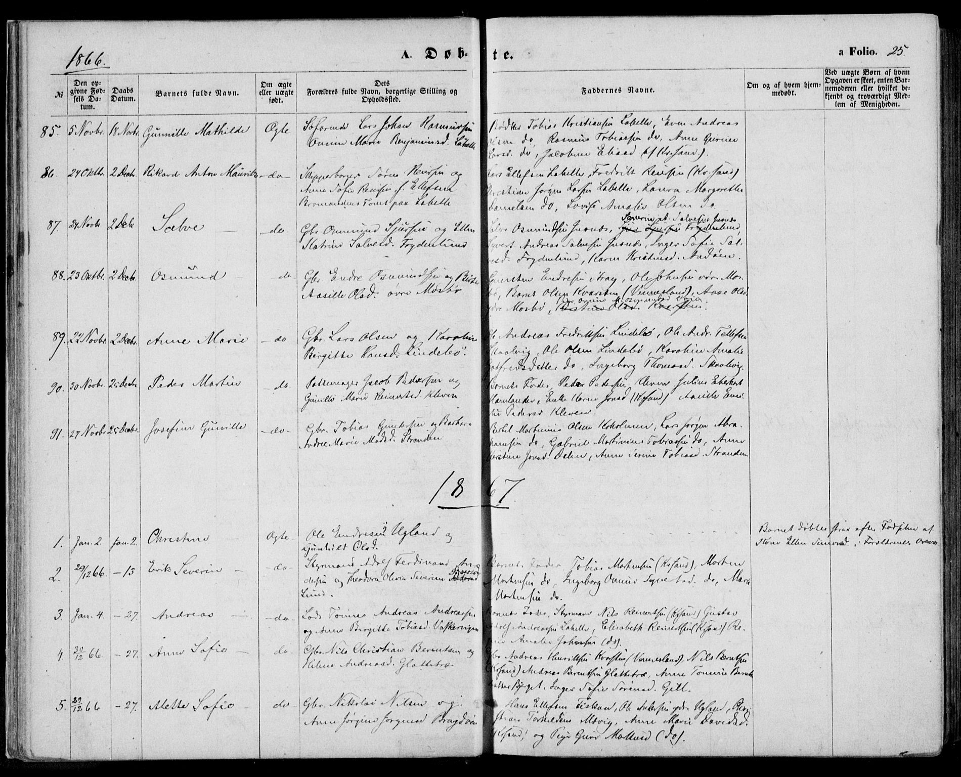 Oddernes sokneprestkontor, AV/SAK-1111-0033/F/Fa/Faa/L0008: Parish register (official) no. A 8, 1864-1880, p. 25