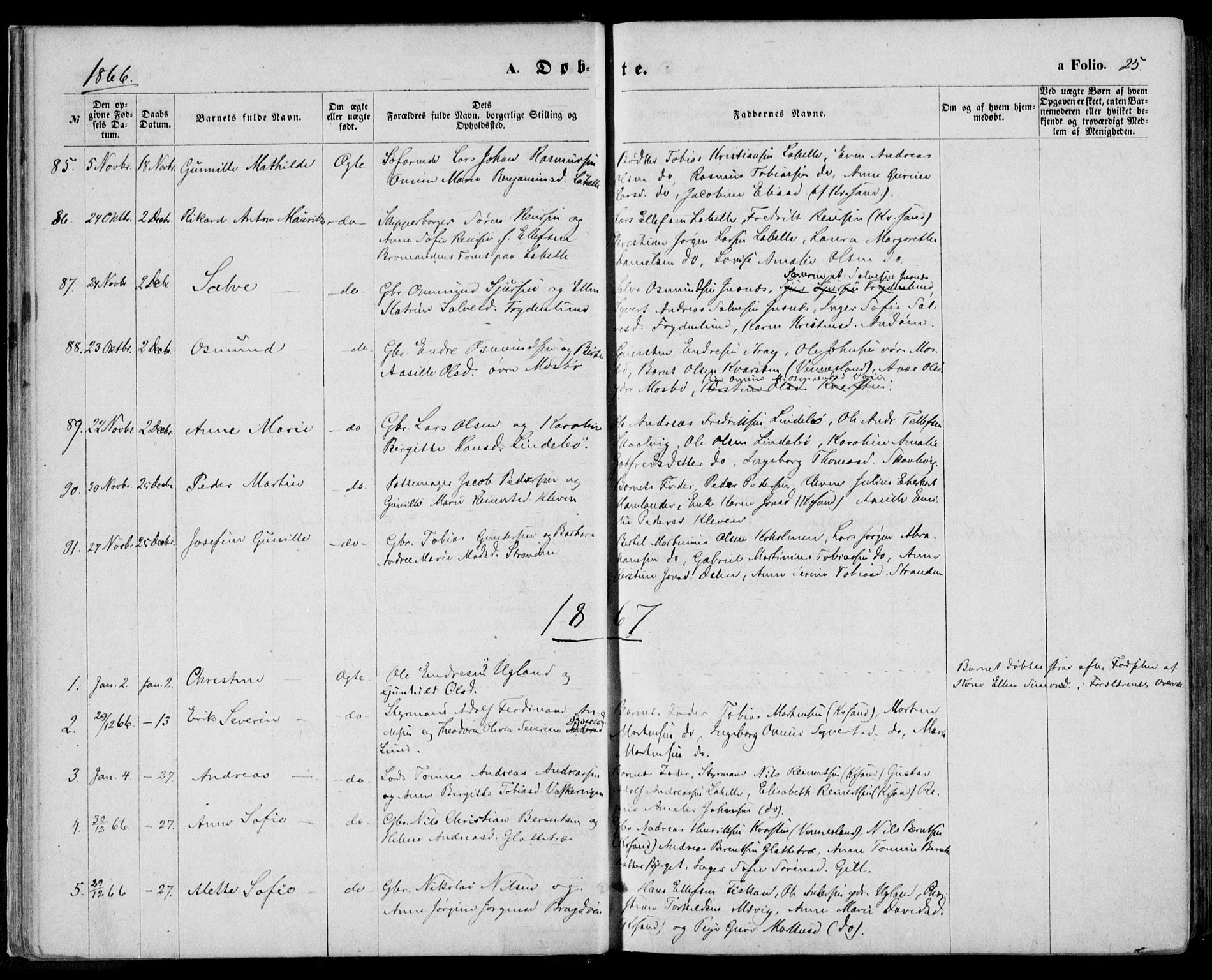 Oddernes sokneprestkontor, SAK/1111-0033/F/Fa/Faa/L0008: Parish register (official) no. A 8, 1864-1880, p. 25