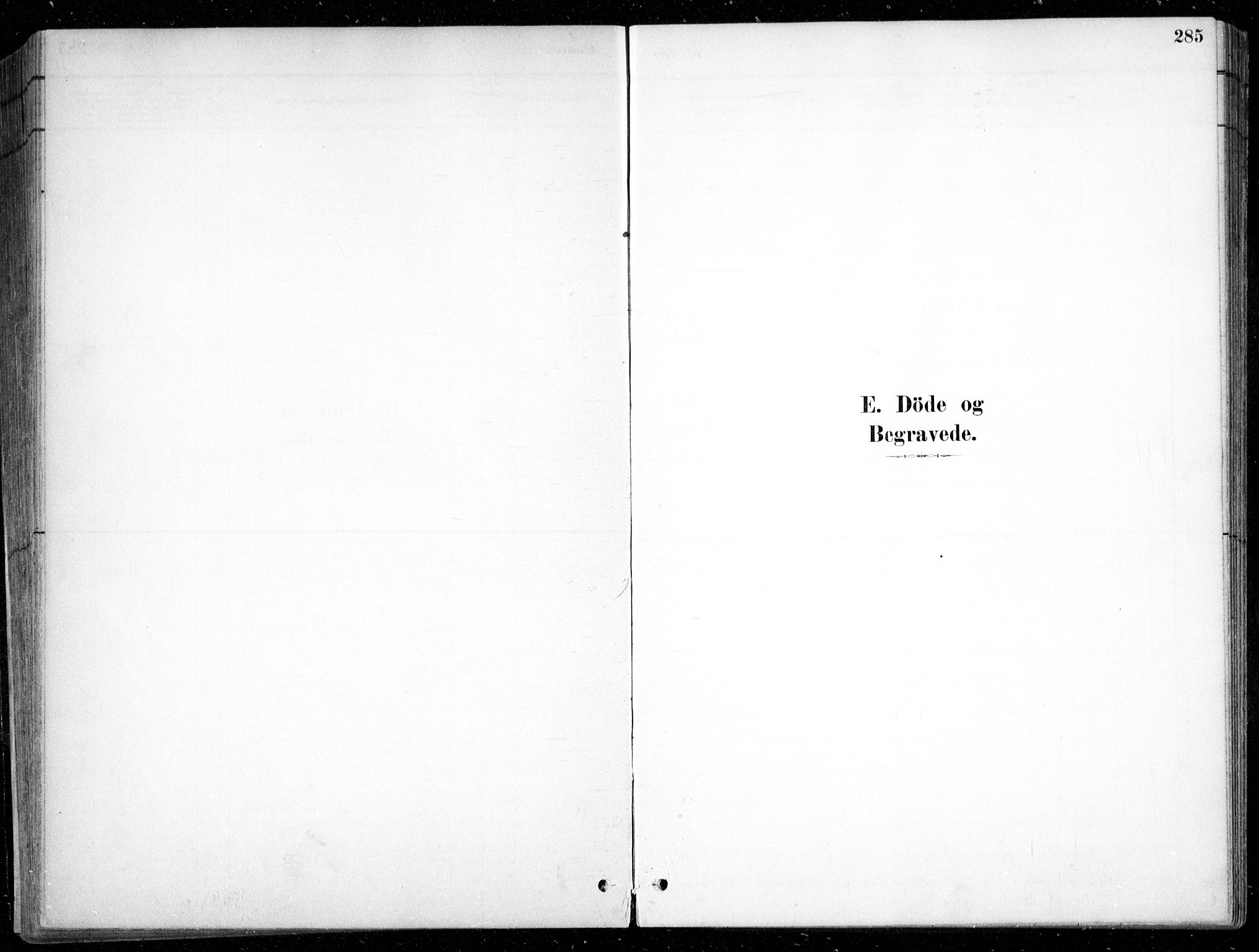 Fjære sokneprestkontor, SAK/1111-0011/F/Fb/L0011: Parish register (copy) no. B 11, 1881-1905, p. 285