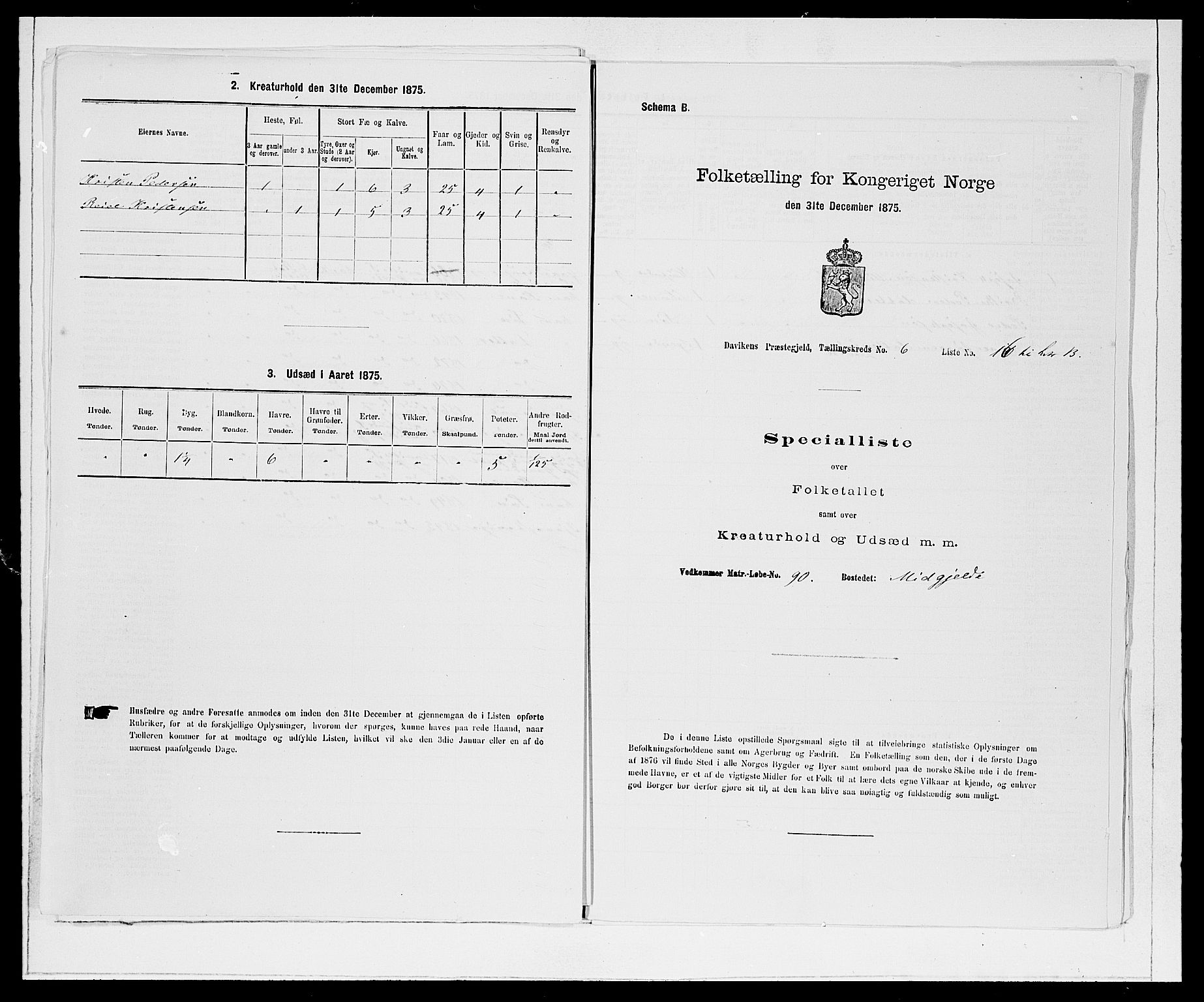 SAB, 1875 Census for 1442P Davik, 1875, p. 871