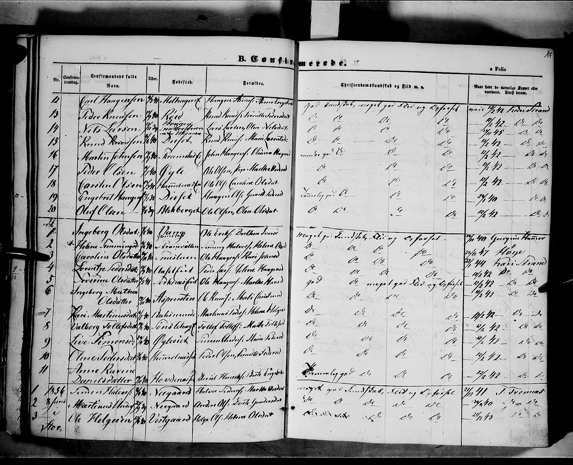 Åmot prestekontor, Hedmark, AV/SAH-PREST-056/H/Ha/Haa/L0006: Parish register (official) no. 6, 1842-1861, p. 155