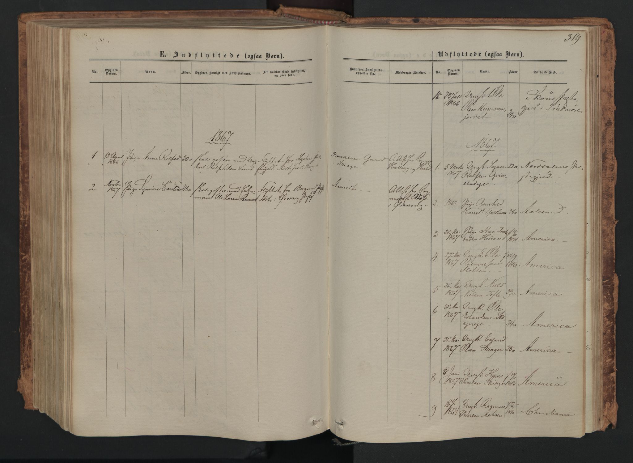 Skjåk prestekontor, SAH/PREST-072/H/Ha/Haa/L0001: Parish register (official) no. 1, 1863-1879, p. 319