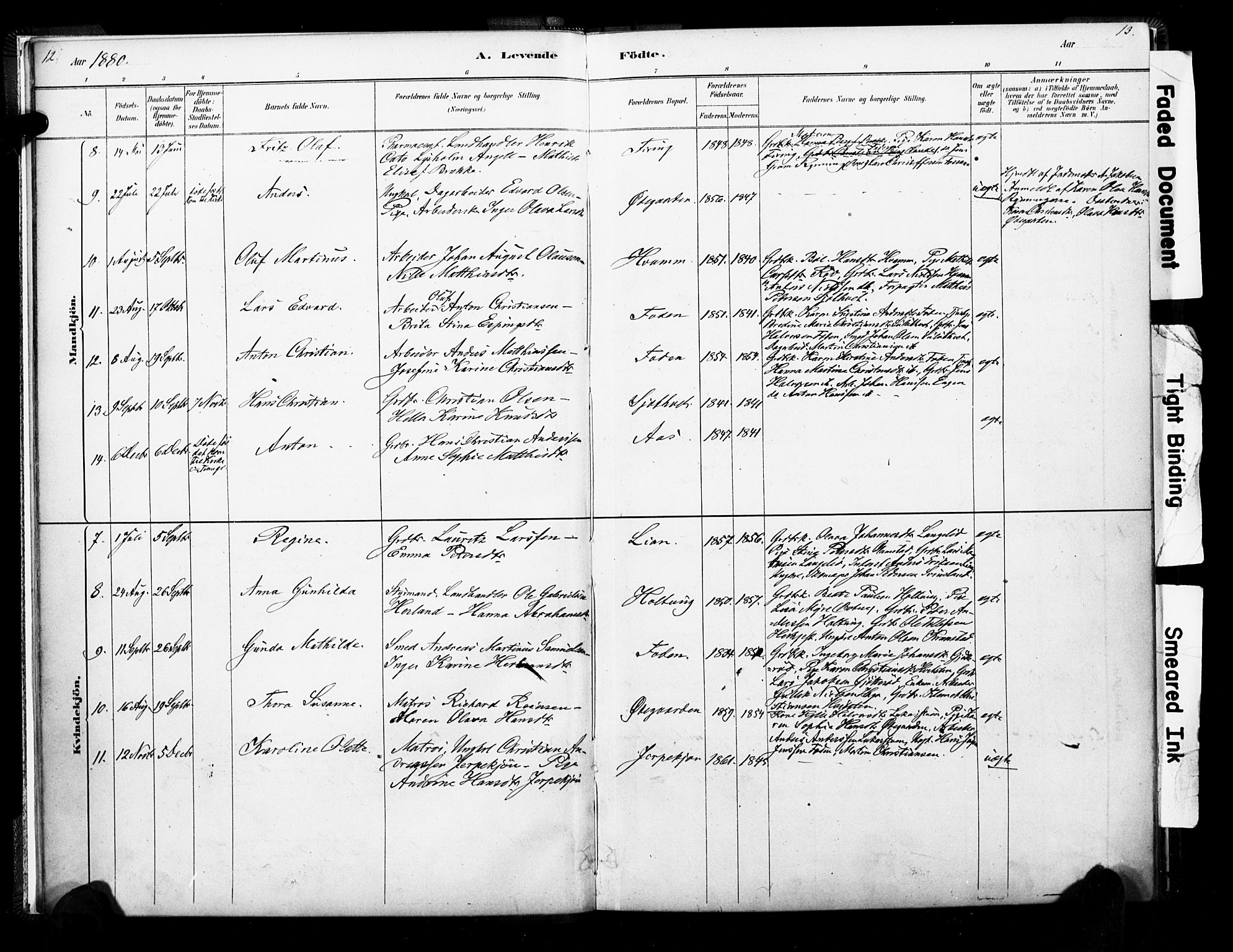 Ramnes kirkebøker, AV/SAKO-A-314/F/Fb/L0001: Parish register (official) no. II 1, 1878-1894, p. 12-13