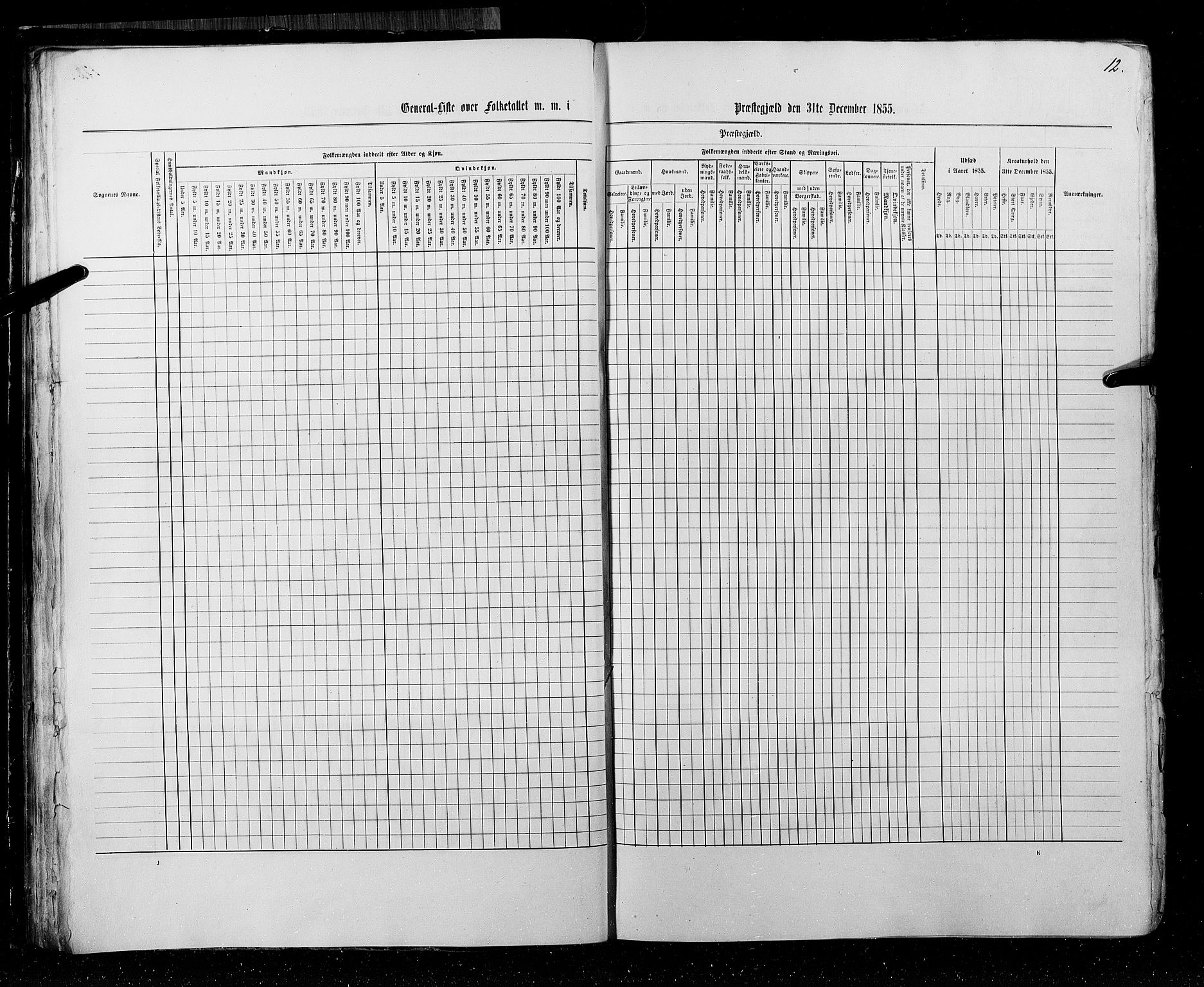 RA, Census 1855, vol. 3: Bratsberg amt, Nedenes amt og Lister og Mandal amt, 1855, p. 12