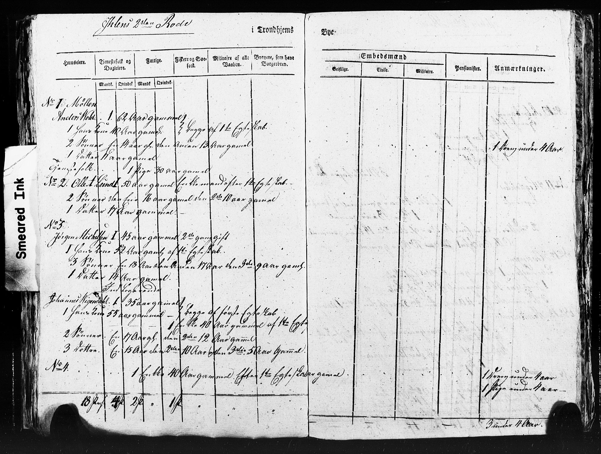 SAT, Census 1815 for Trondheim (transcript), 1815, p. 311