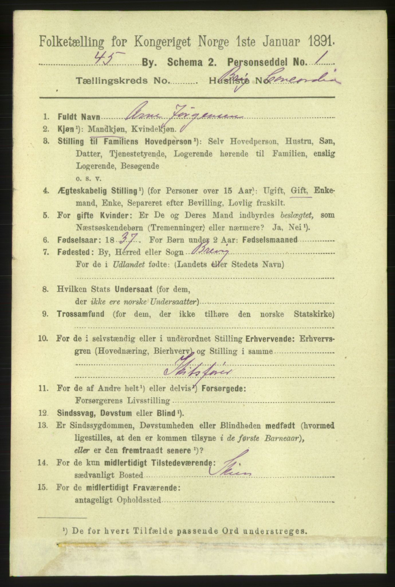 RA, 1891 census for 1105 Kopervik, 1891, p. 874