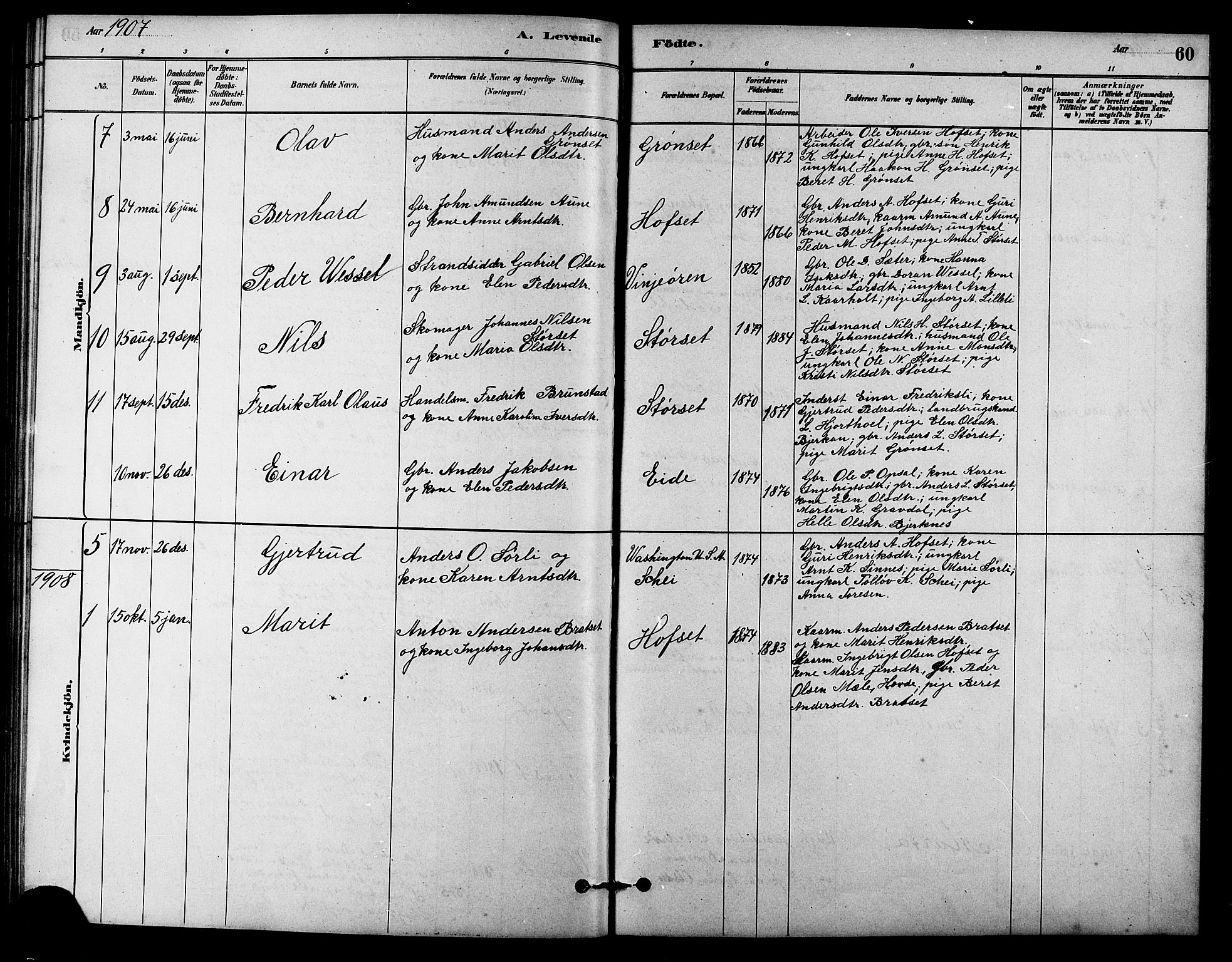Ministerialprotokoller, klokkerbøker og fødselsregistre - Sør-Trøndelag, SAT/A-1456/631/L0514: Parish register (copy) no. 631C02, 1879-1912, p. 60
