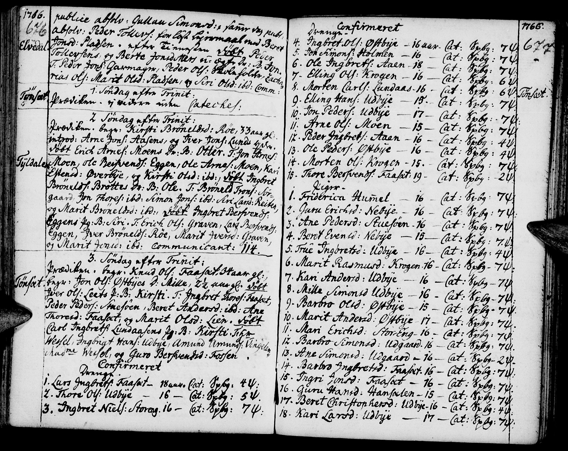 Tynset prestekontor, SAH/PREST-058/H/Ha/Haa/L0002: Parish register (official) no. 2, 1737-1767, p. 676-677