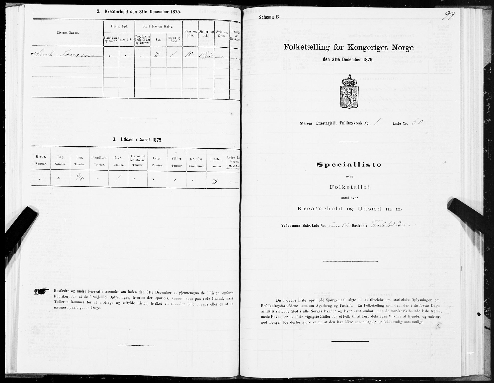 SAT, 1875 census for 1648P Støren, 1875, p. 1099