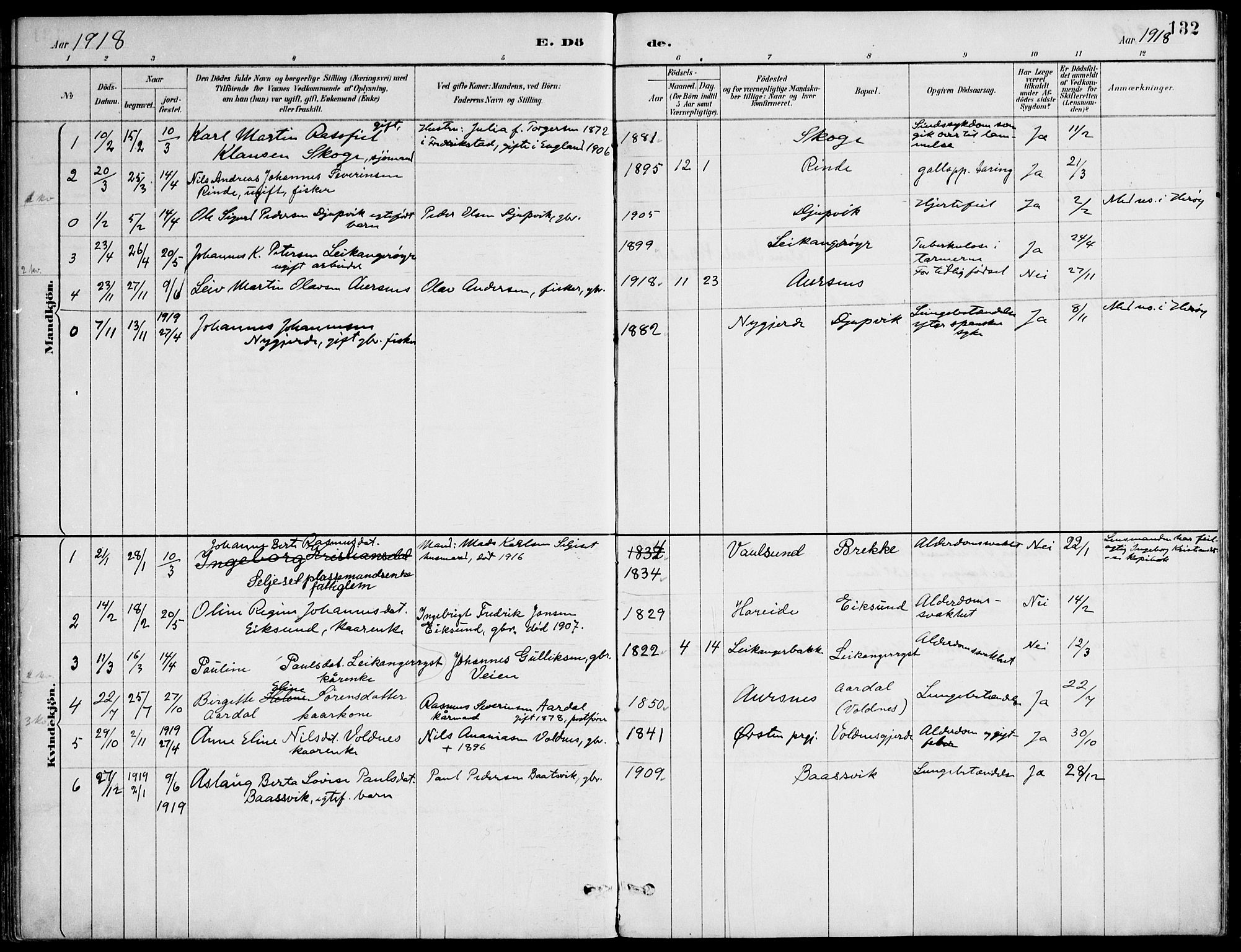 Ministerialprotokoller, klokkerbøker og fødselsregistre - Møre og Romsdal, AV/SAT-A-1454/508/L0095: Parish register (official) no. 508A02, 1887-1920, p. 132