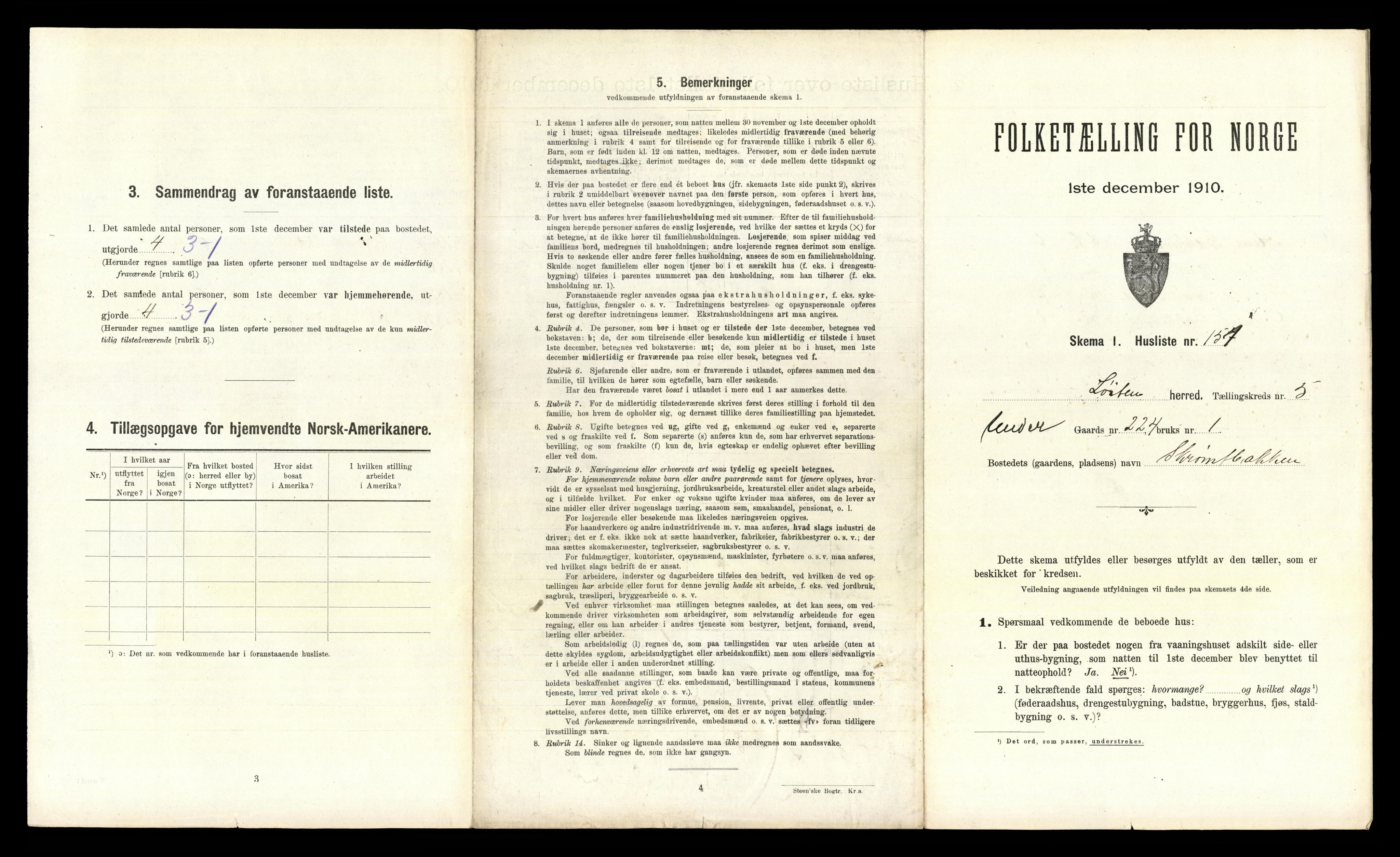RA, 1910 census for Løten, 1910, p. 1866