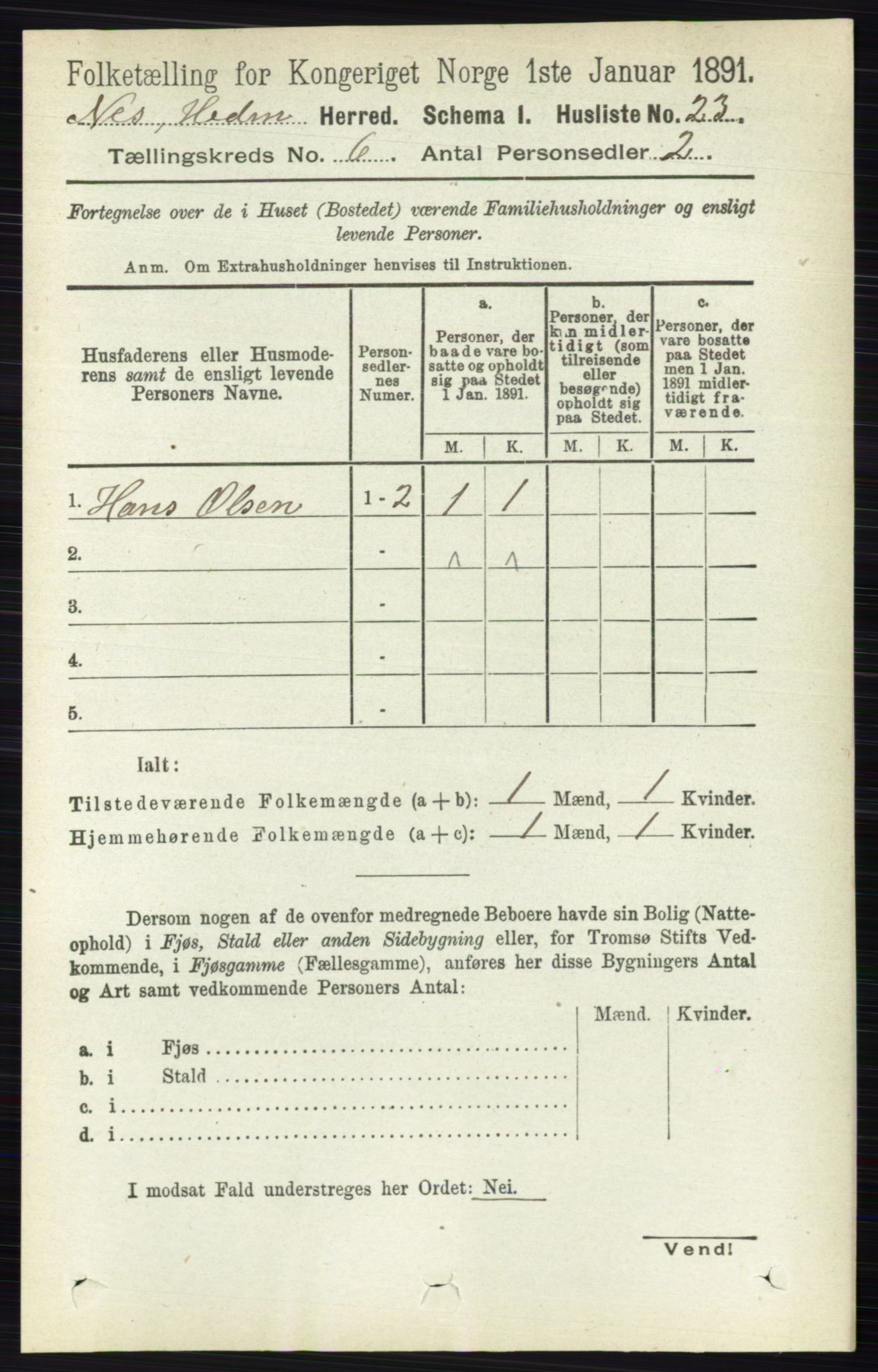 RA, 1891 census for 0411 Nes, 1891, p. 3191